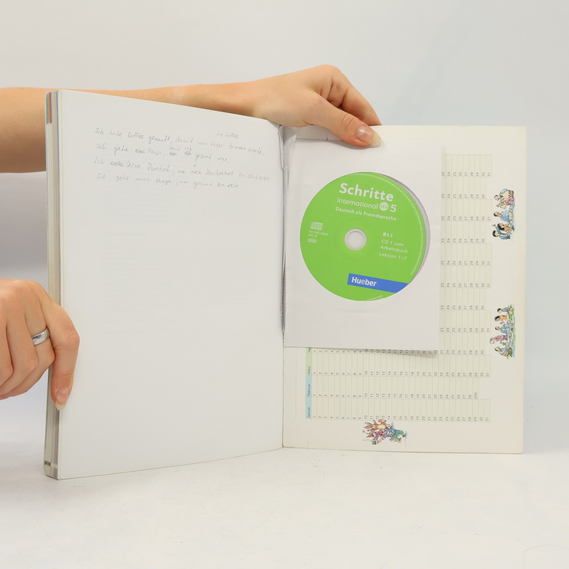 Silke Hilpert Schritte international Neu 5 : Niveau B1