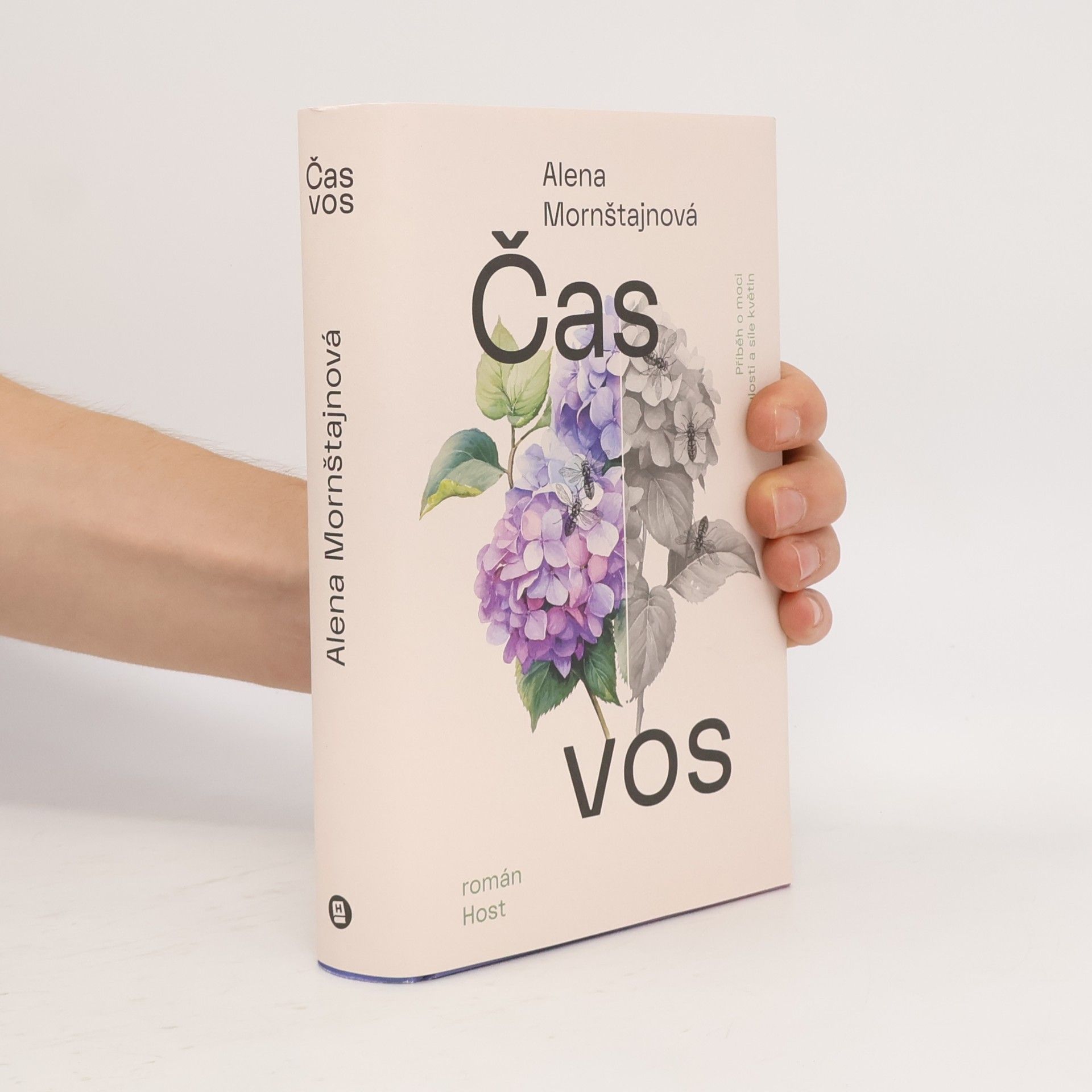 Alena Mornštajnová Čas vos
