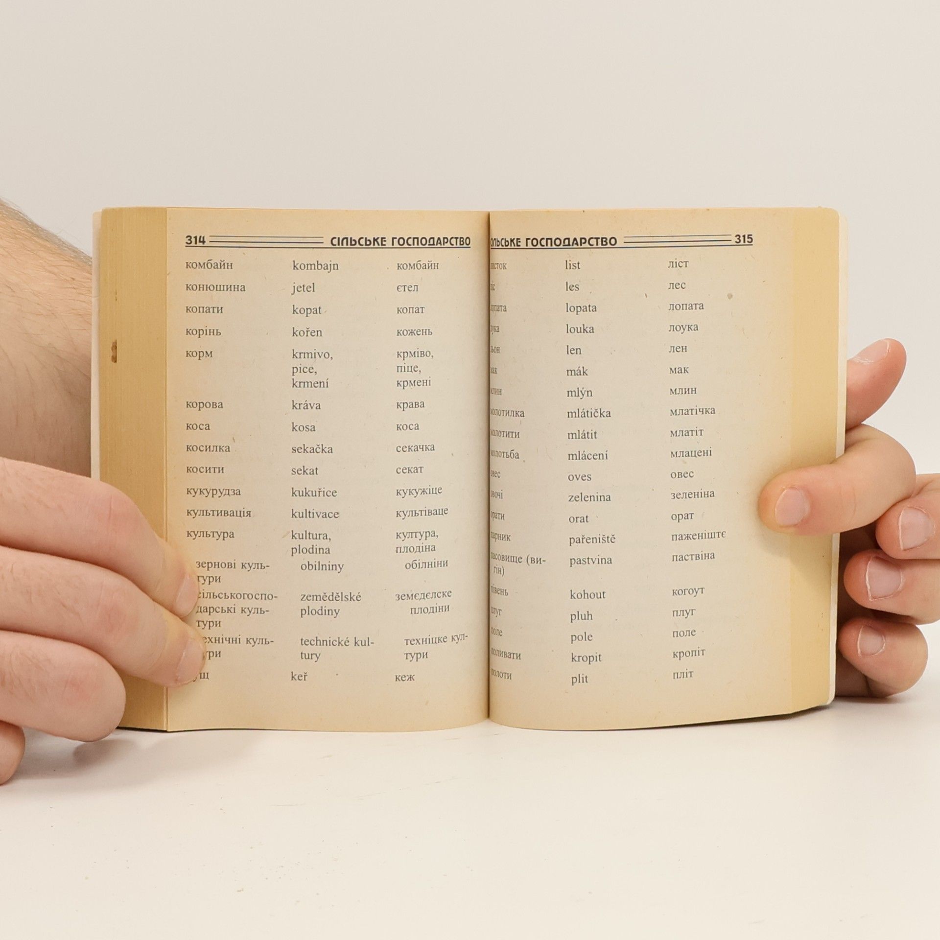 Autorenkollektiv Україно-чеський розмовник (Ukraїno-cheskijj rozmovnik)