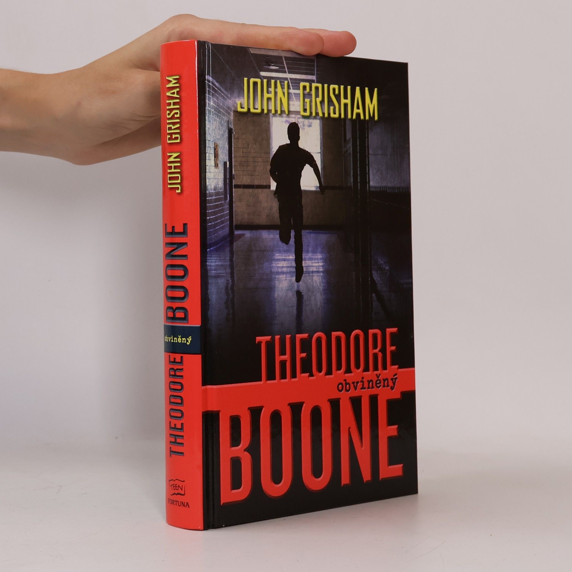 John Grisham Theodore Boone : obviněný