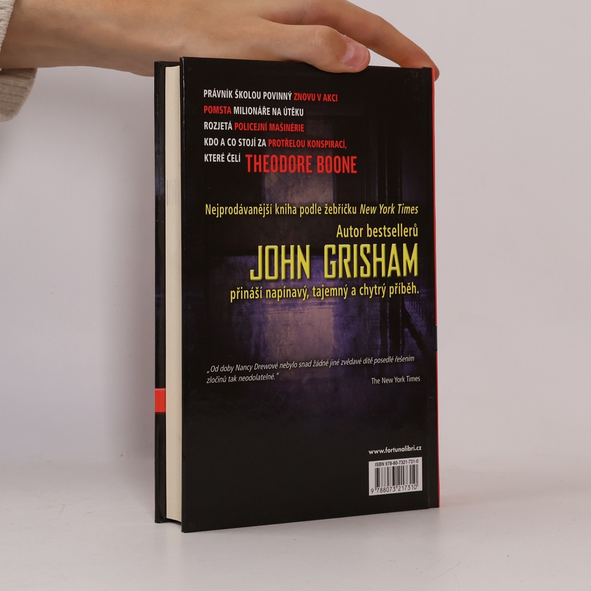 John Grisham Theodore Boone : obviněný