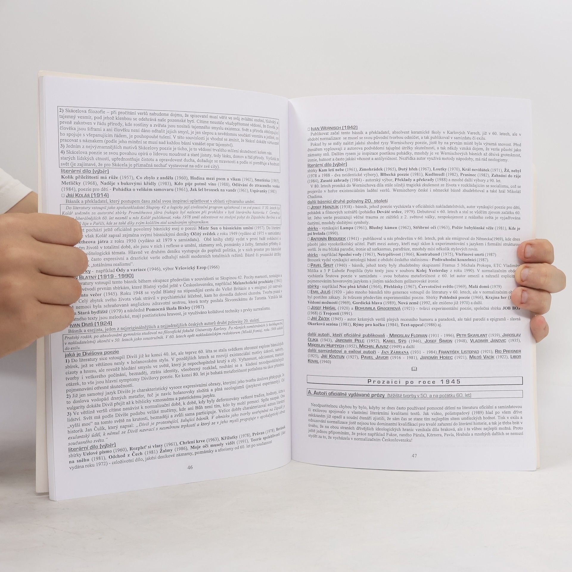 Vladimír Prokop Přehled české literatury 20. století