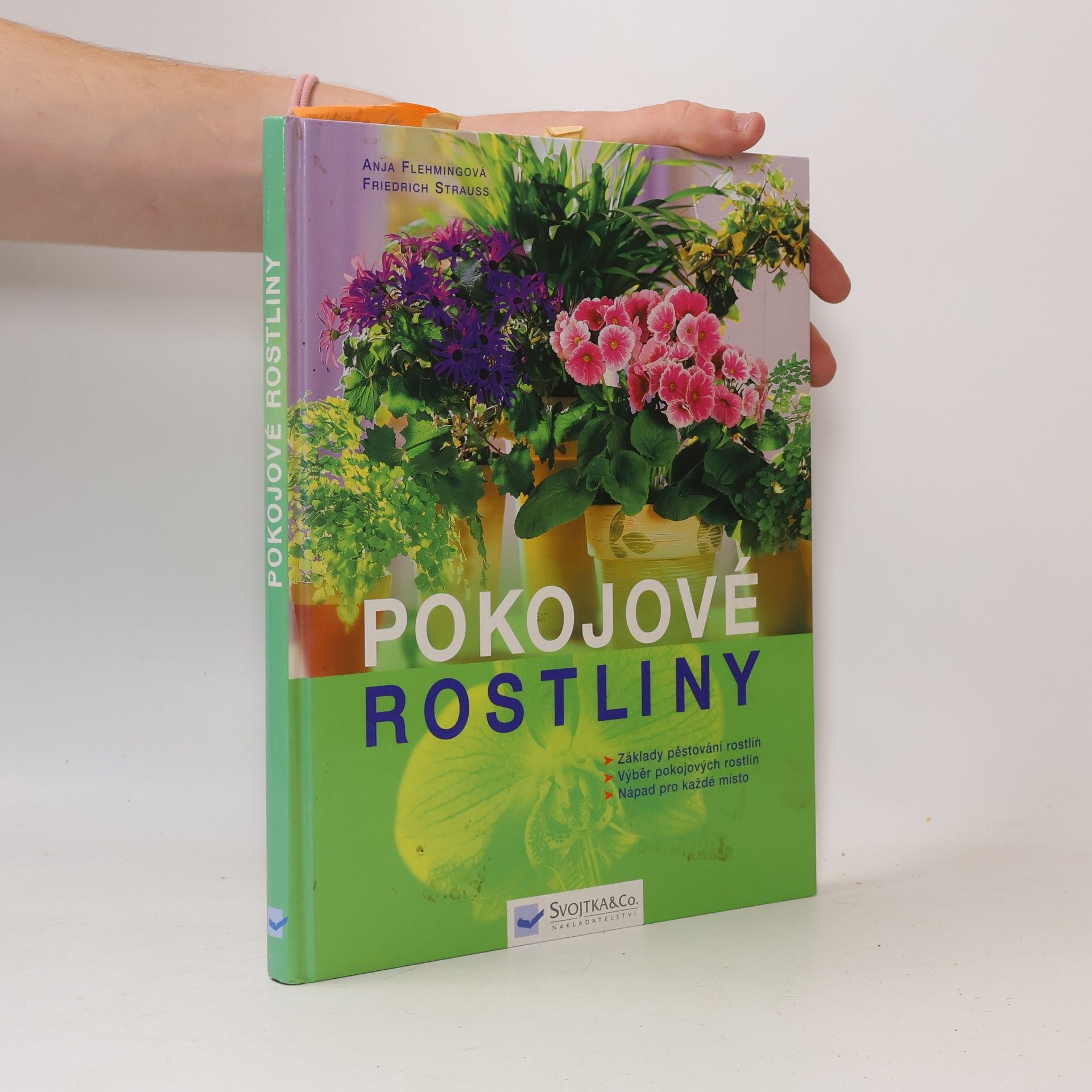 Anja Flehmig Pokojové rostliny
