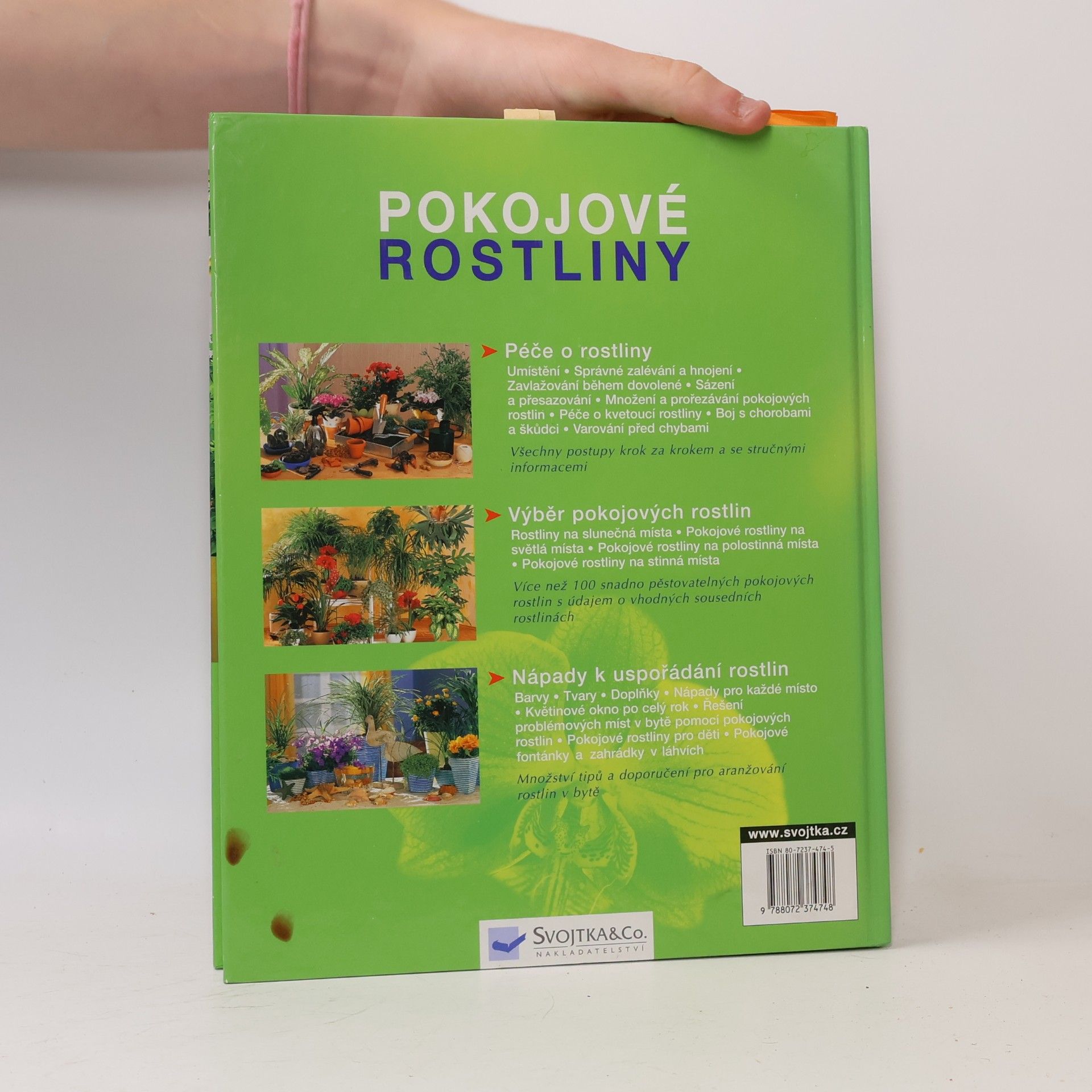 Anja Flehmig Pokojové rostliny