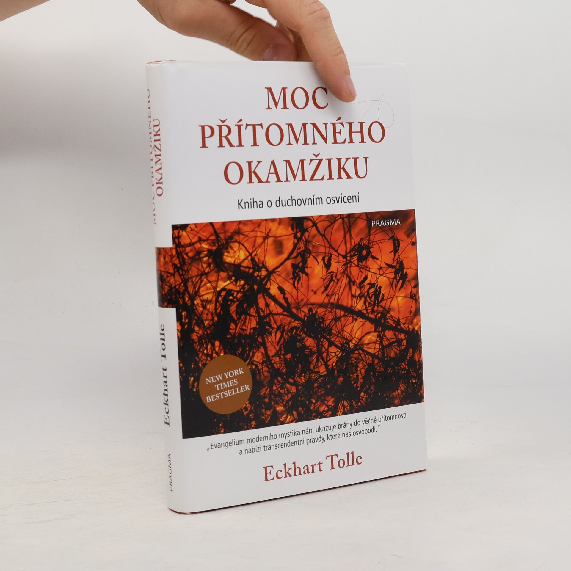 Eckhart Tolle Moc přítomného okamžiku