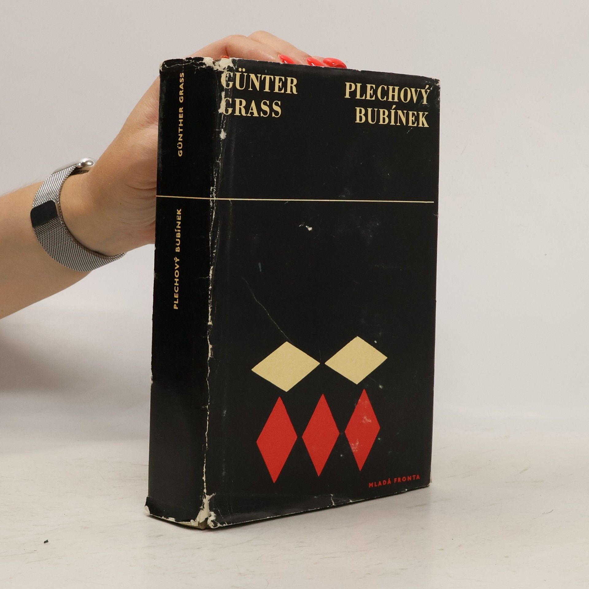 Günter Grass Plechový bubínek