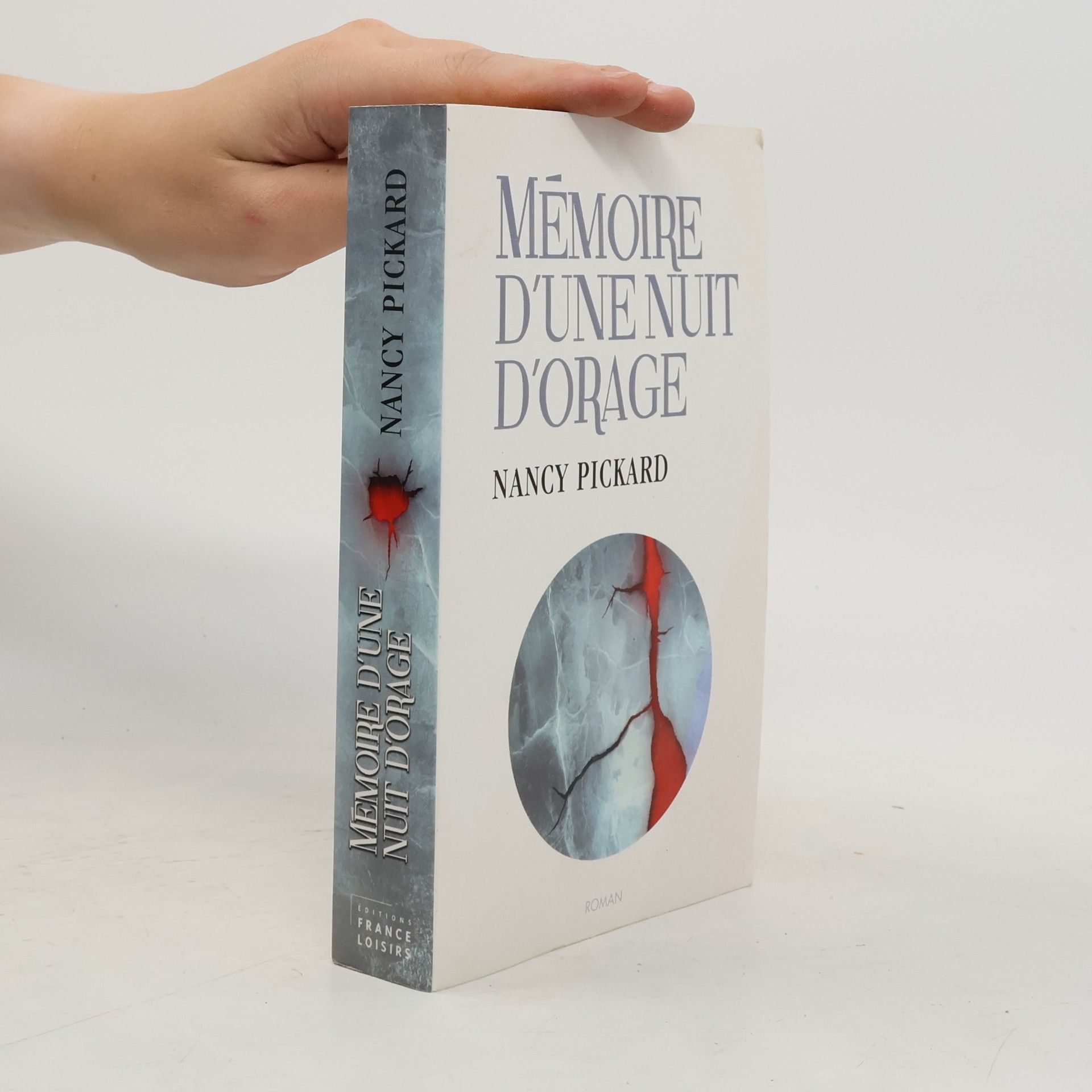 Nancy Pickard Mémoire d'une nuit d'orage