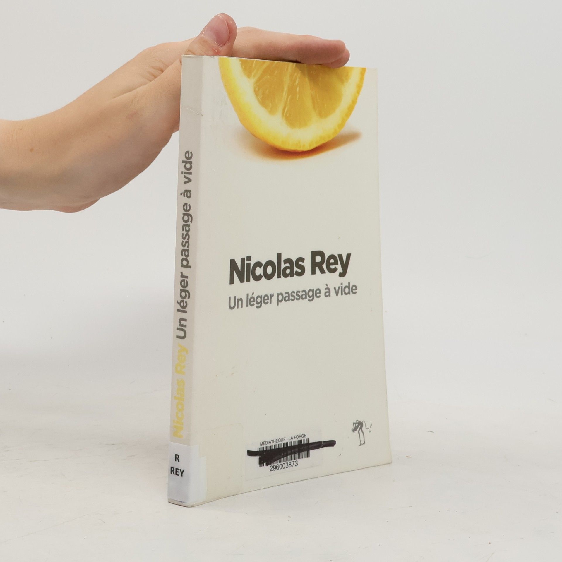 Nicolas Rey Un léger passage à vide