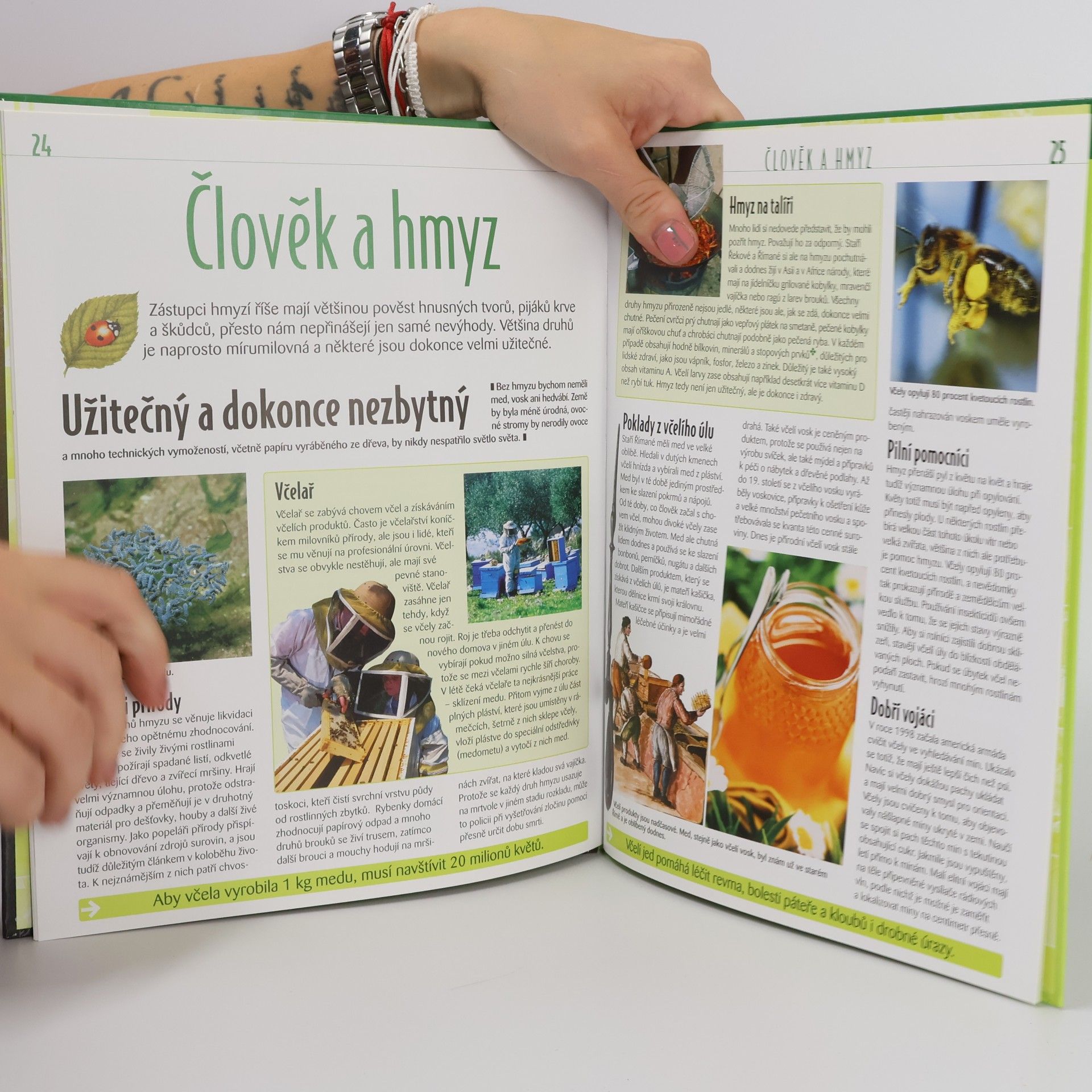 Autorenkollektiv Hmyz