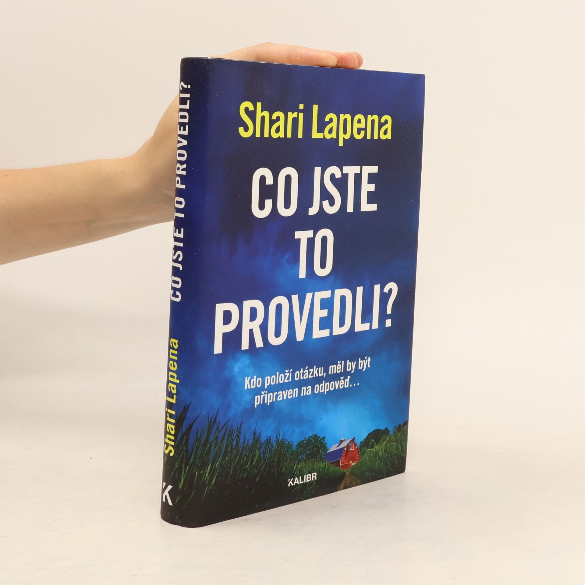 Shari Lapena Co jste to provedli?