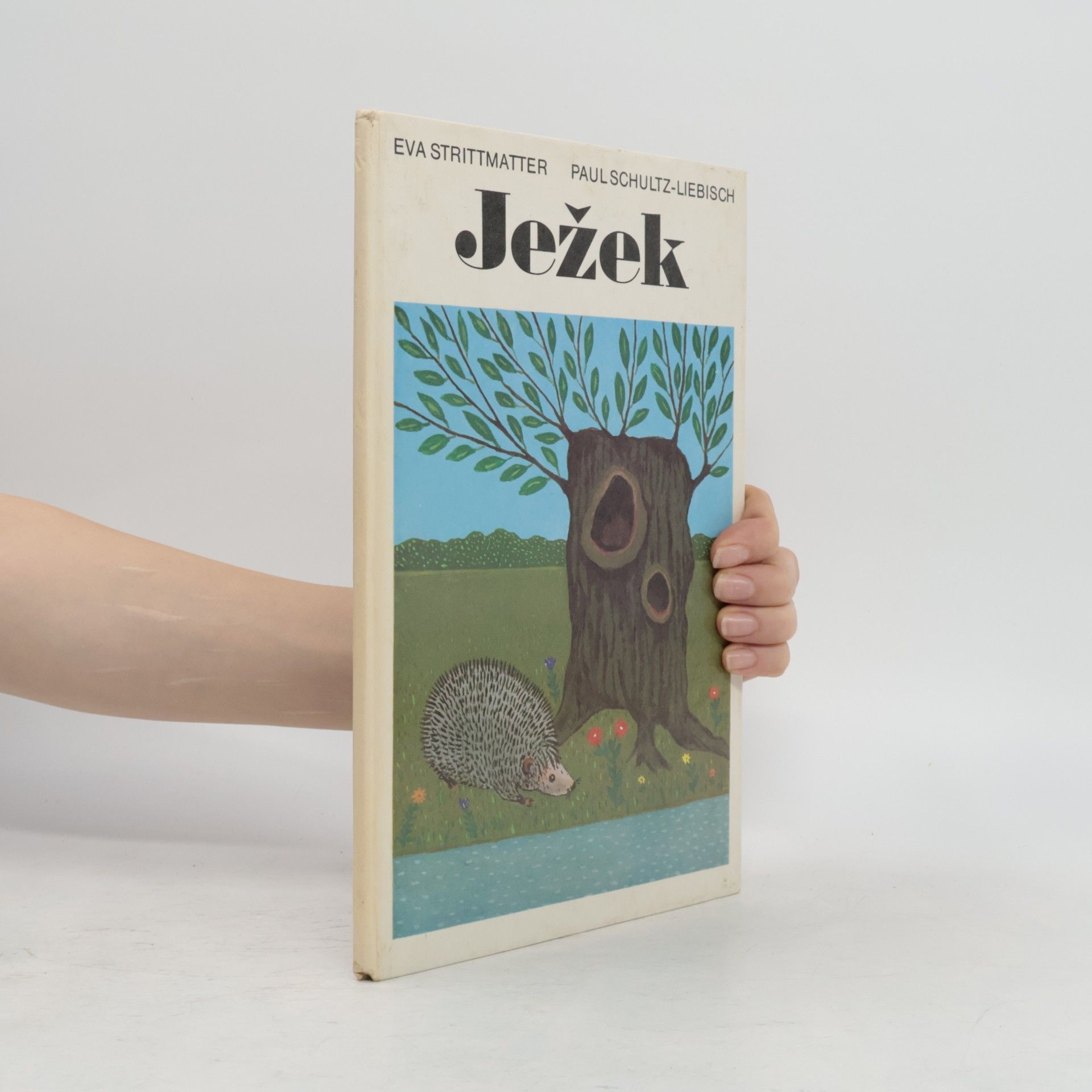 Eva Strittmatter Ježek