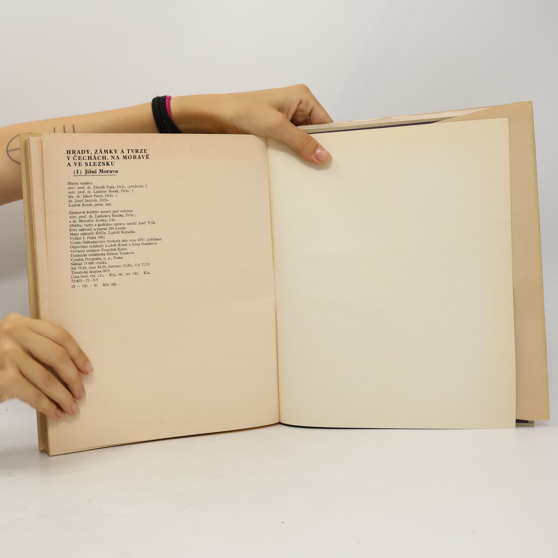 Autorenkollektiv Hrady, zámky a tvrze v Čechách, na Moravě a ve Slezsku I. Jižní Morava