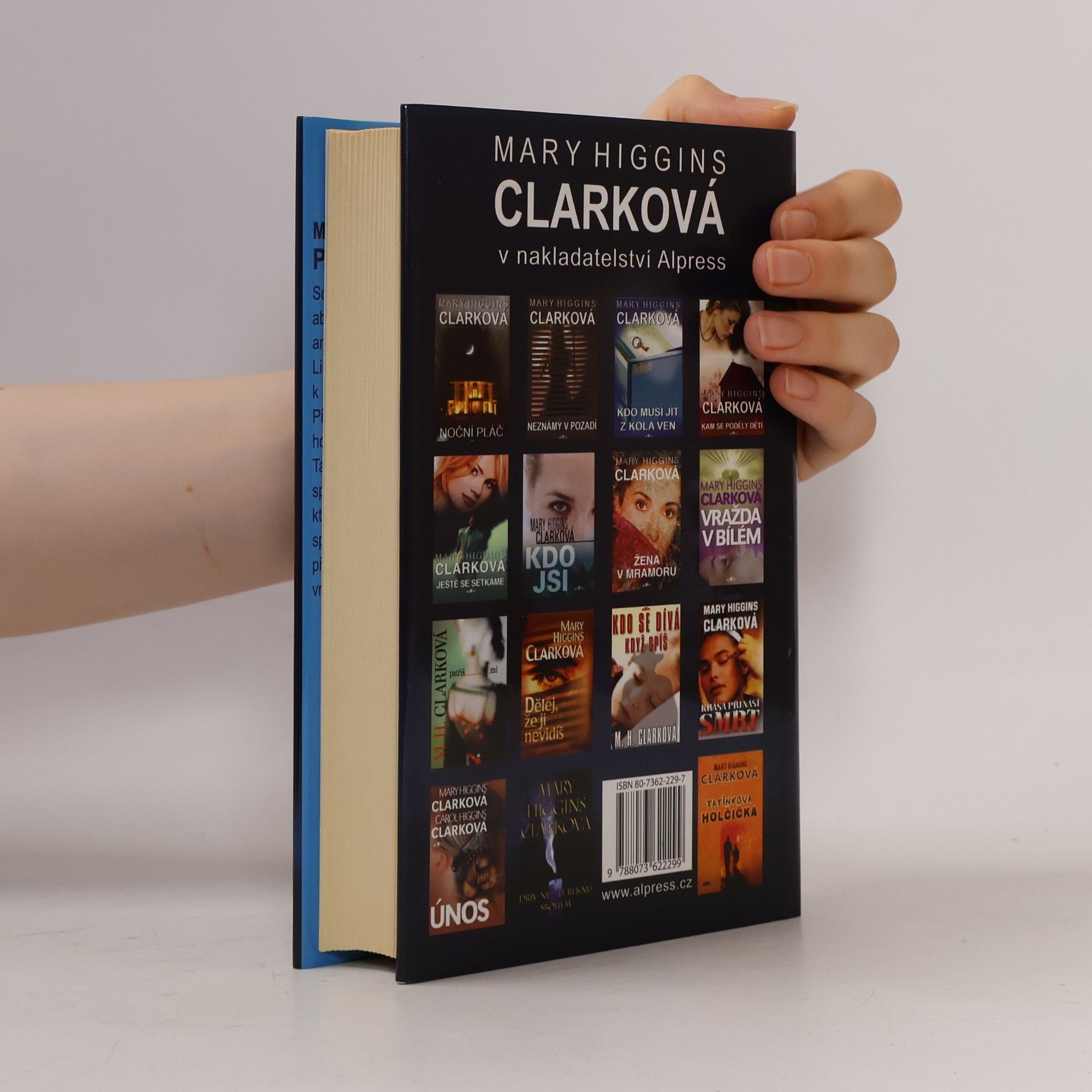 Mary Higgins Clark Pod rouškou noci