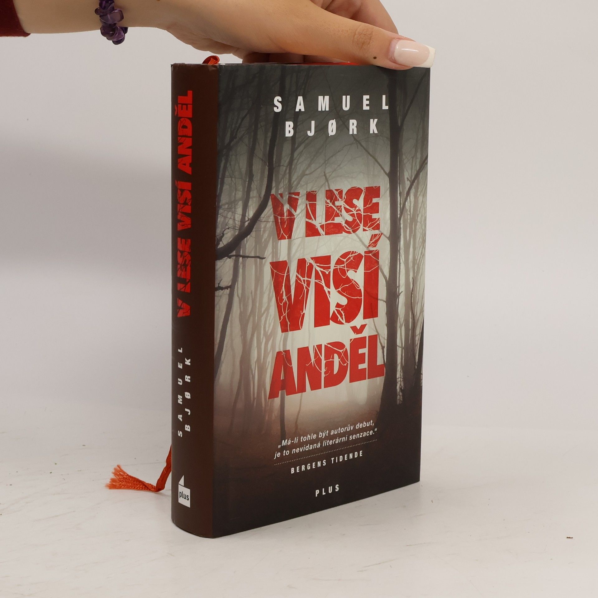 Samuel Bjork V lese visí anděl