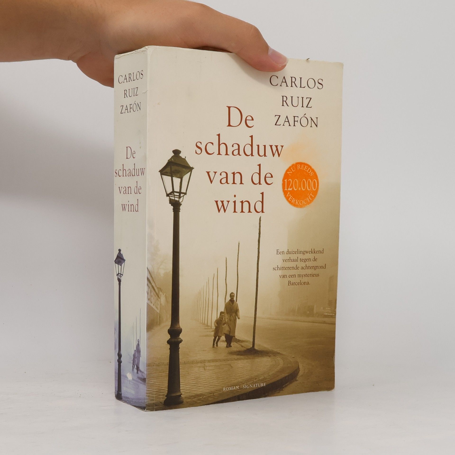 Carlos Ruiz Safon De schaduw van de wind