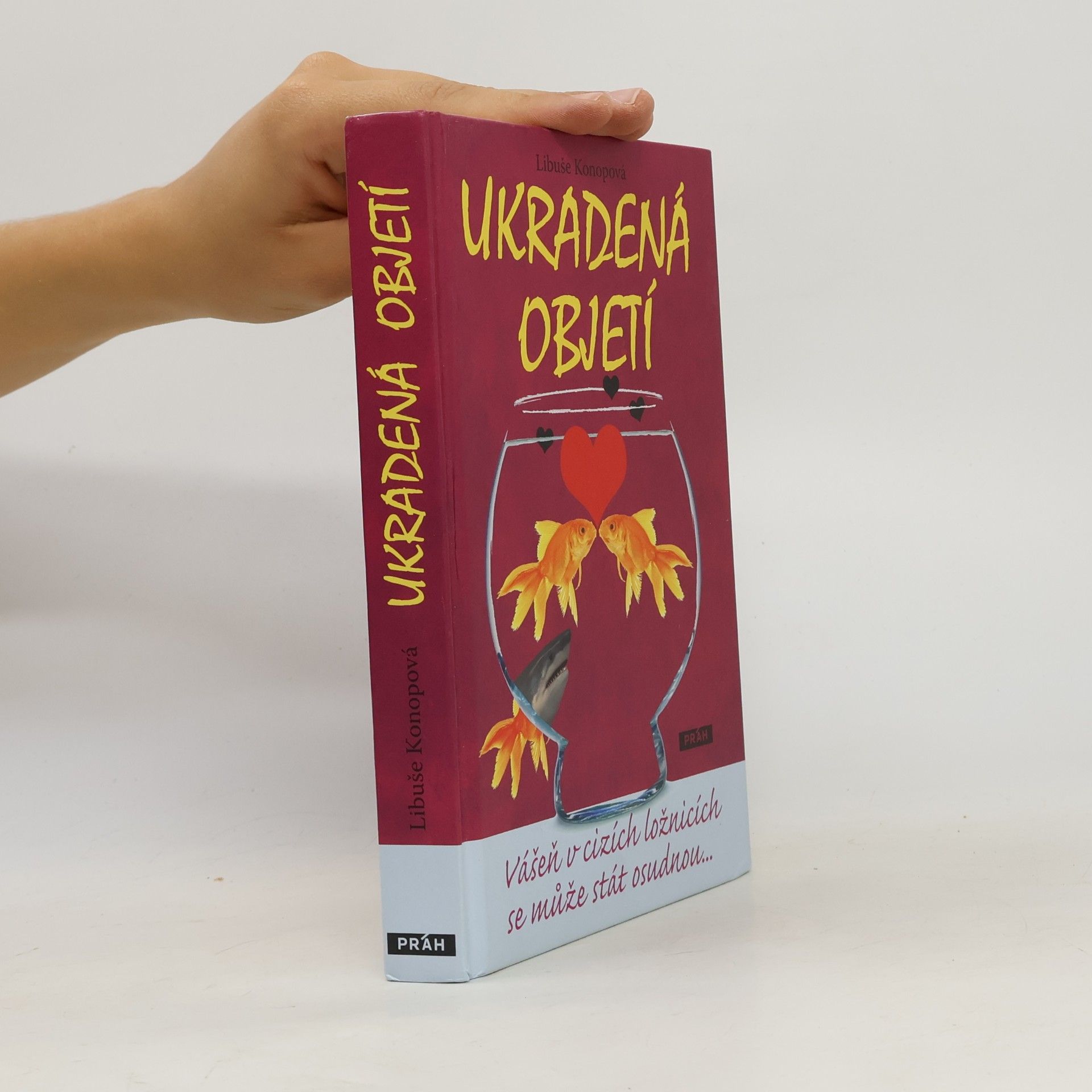 Libuše Konopová Ukradená objetí