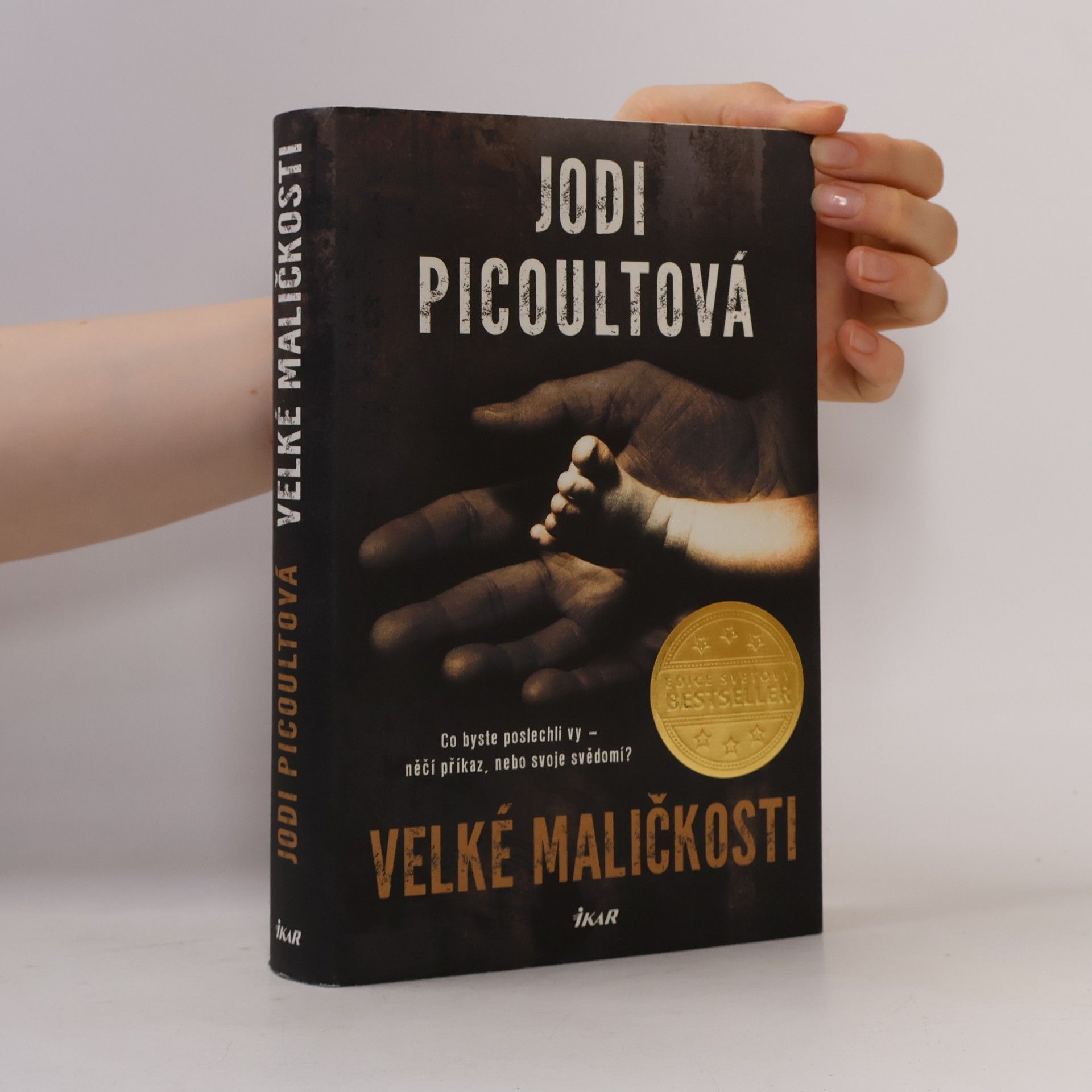 Jodi Picoult Velké maličkosti