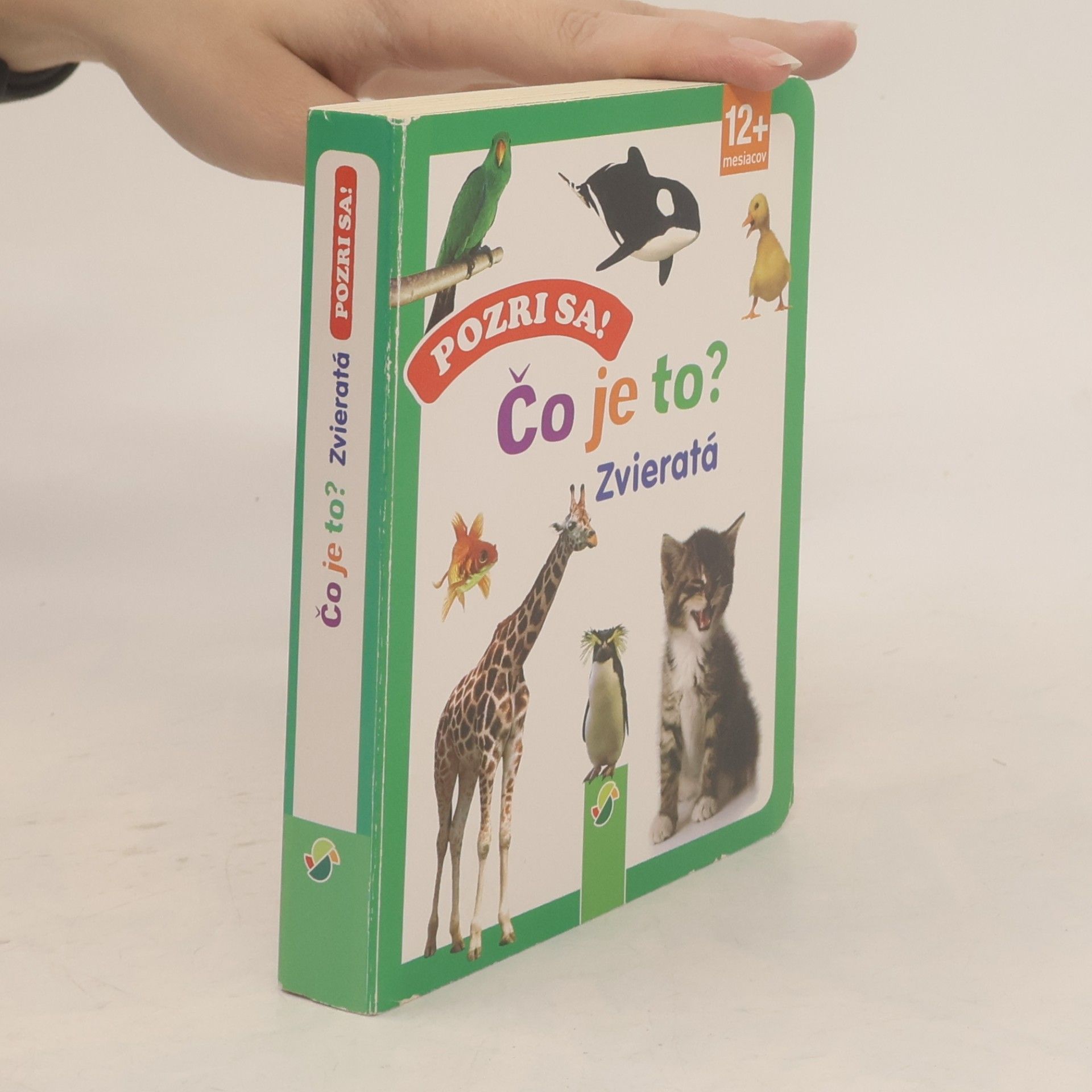 Autorenkollektiv Podívej! Co je to? Zvířata