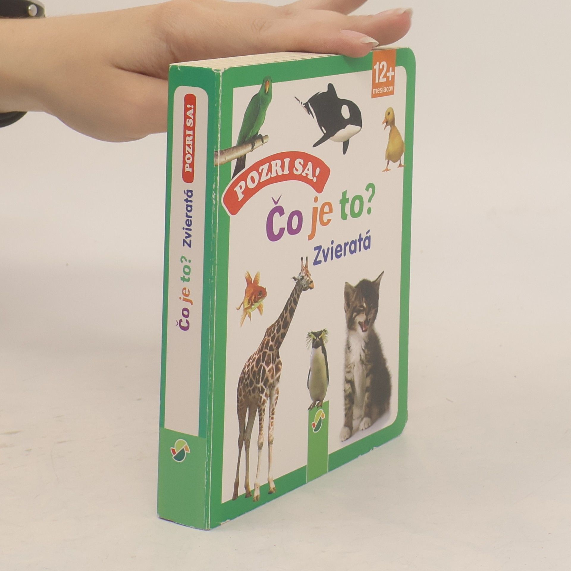 Autorenkollektiv Podívej! Co je to? Zvířata