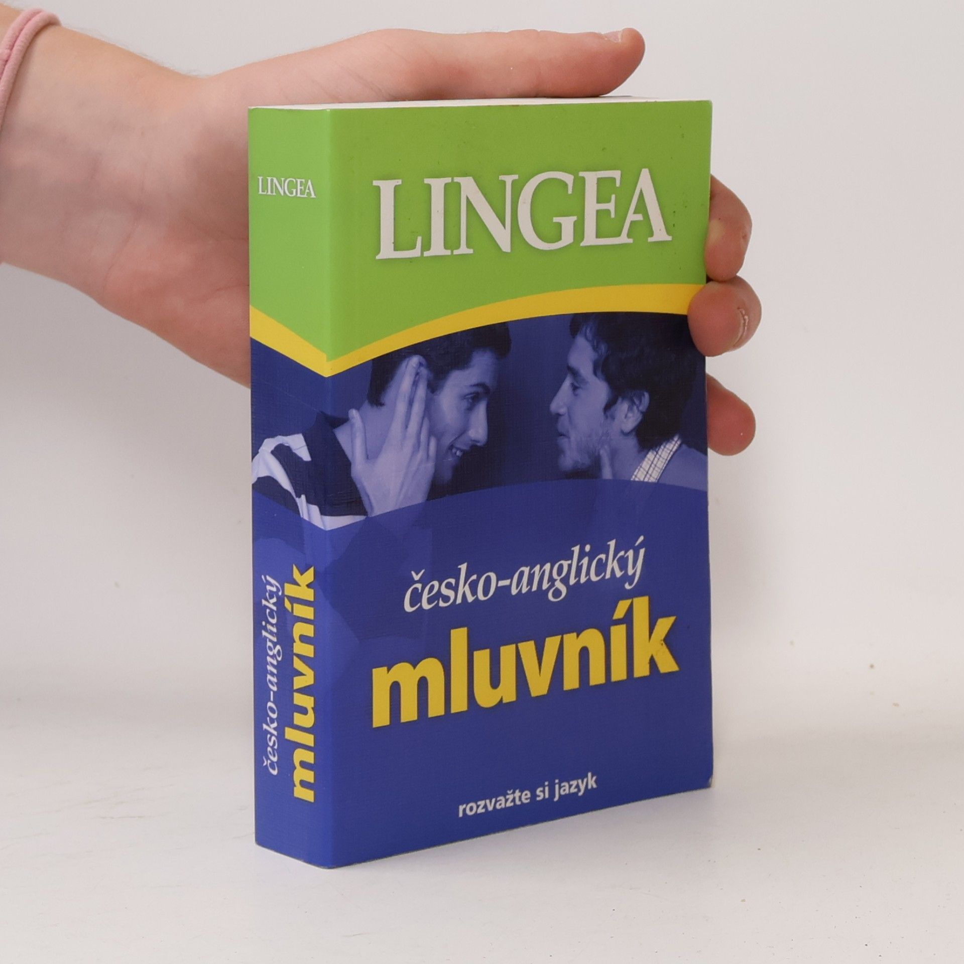 Kolektív autorov Česko-anglický mluvník