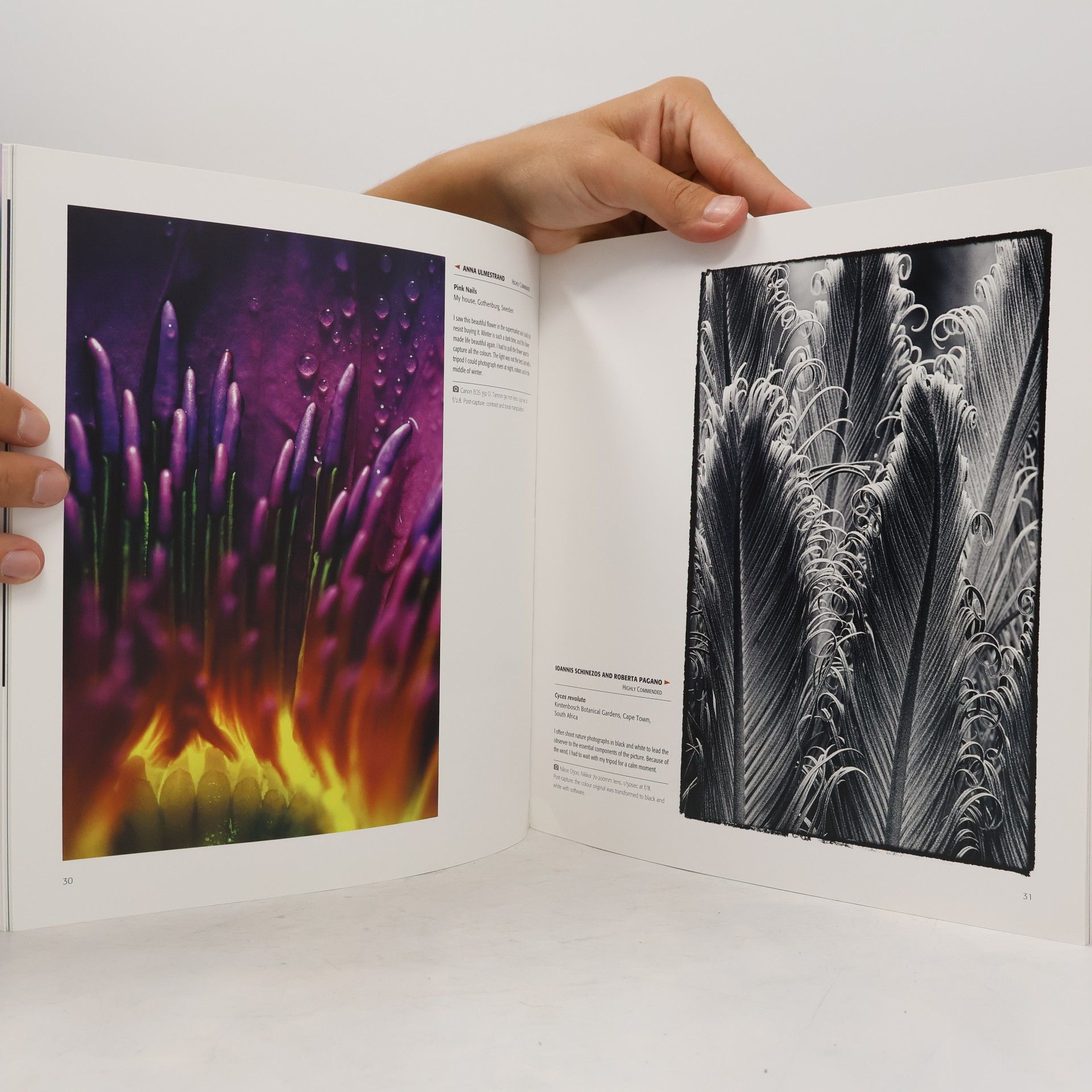 Clive Nichols International Garden Photographer of the Year - 5: Collection Five