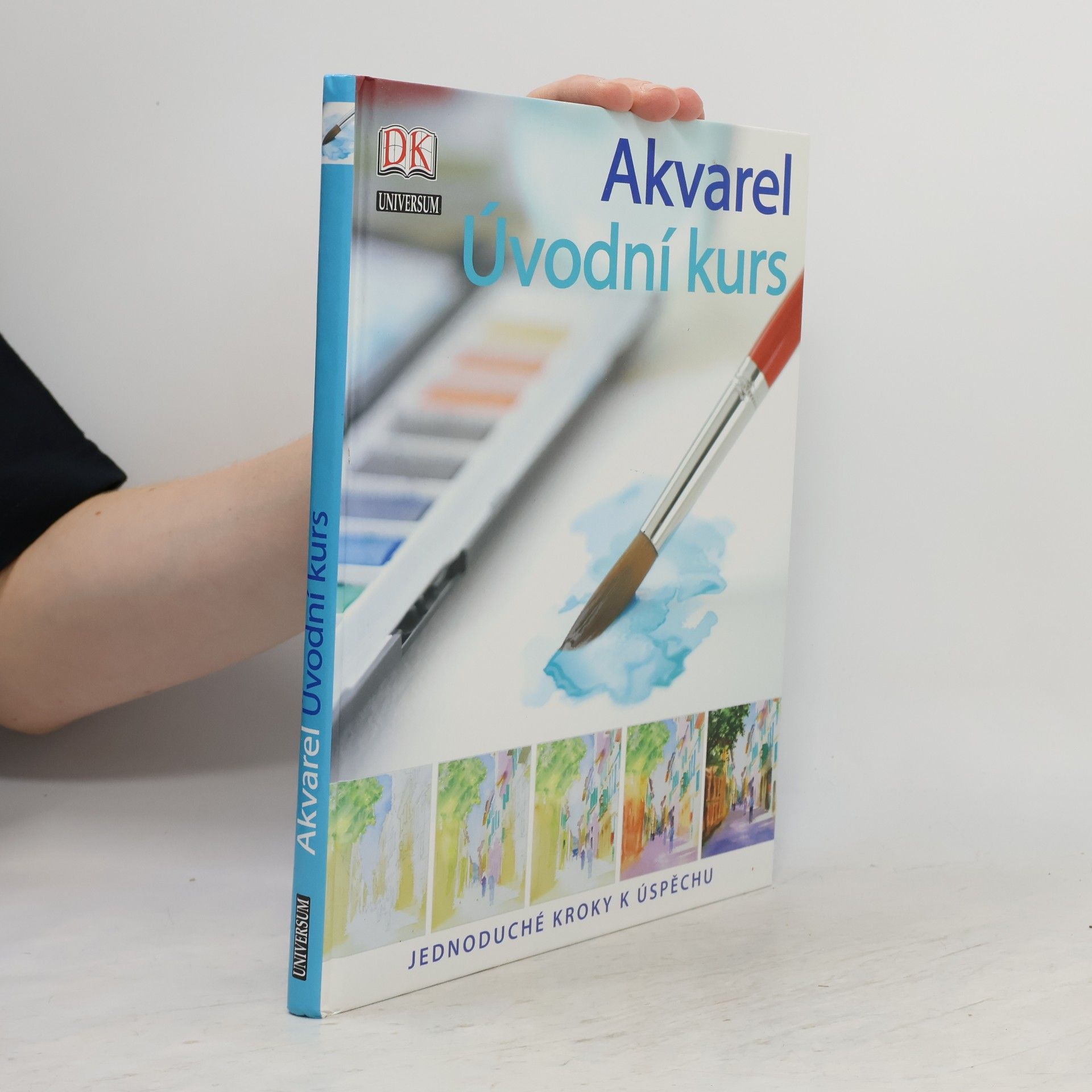 Glynis Barnes Mellish Akvarel : úvodní kurs