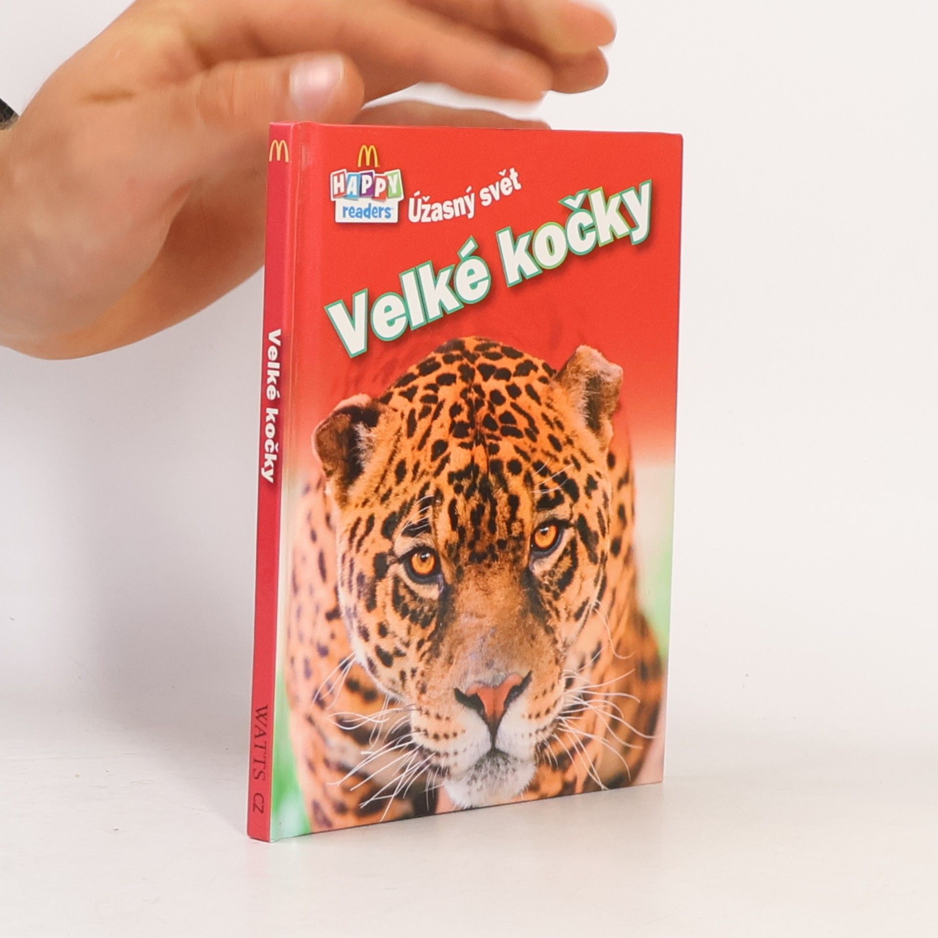Auteurscollectief Velké kočky