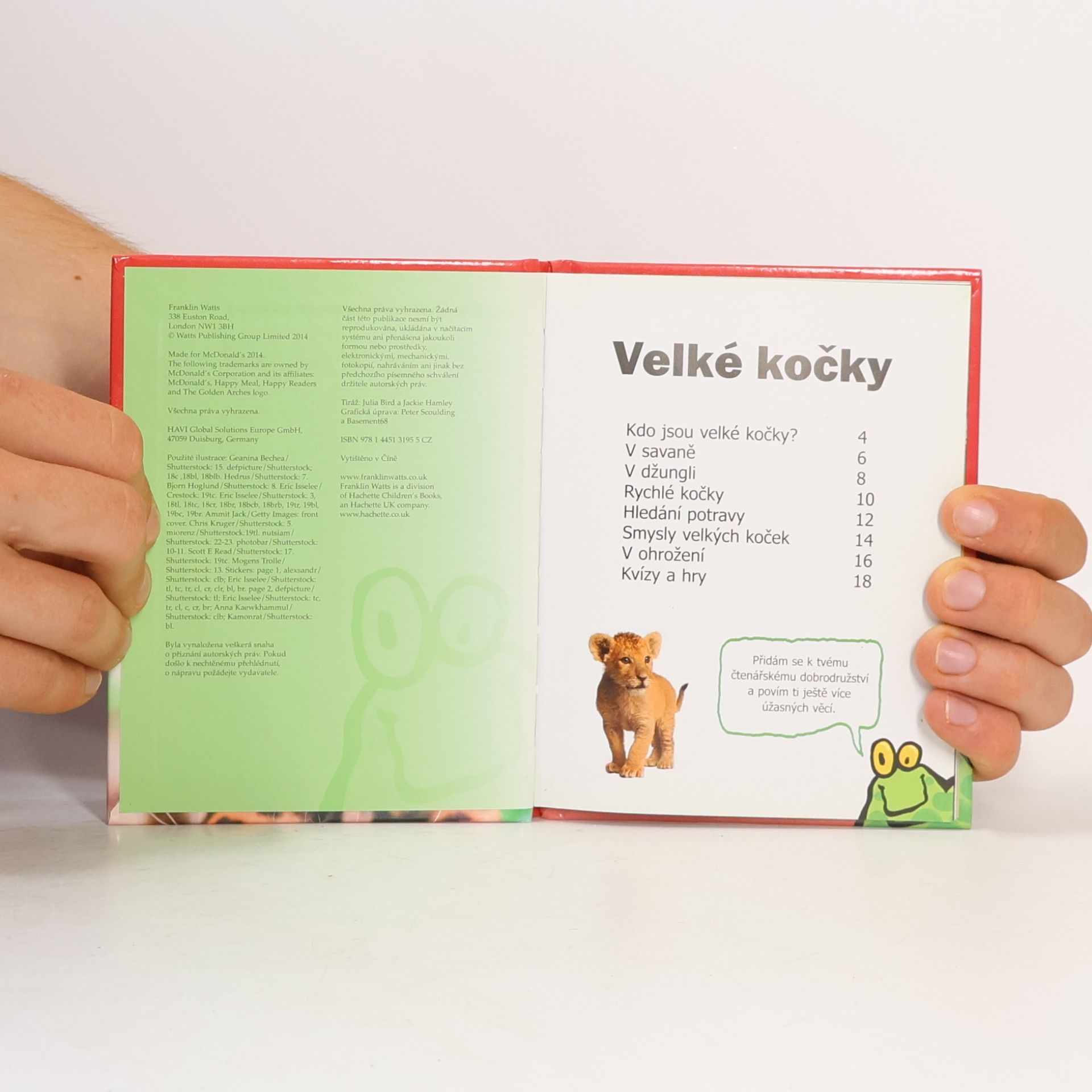 Collectif d'auteurs Velké kočky