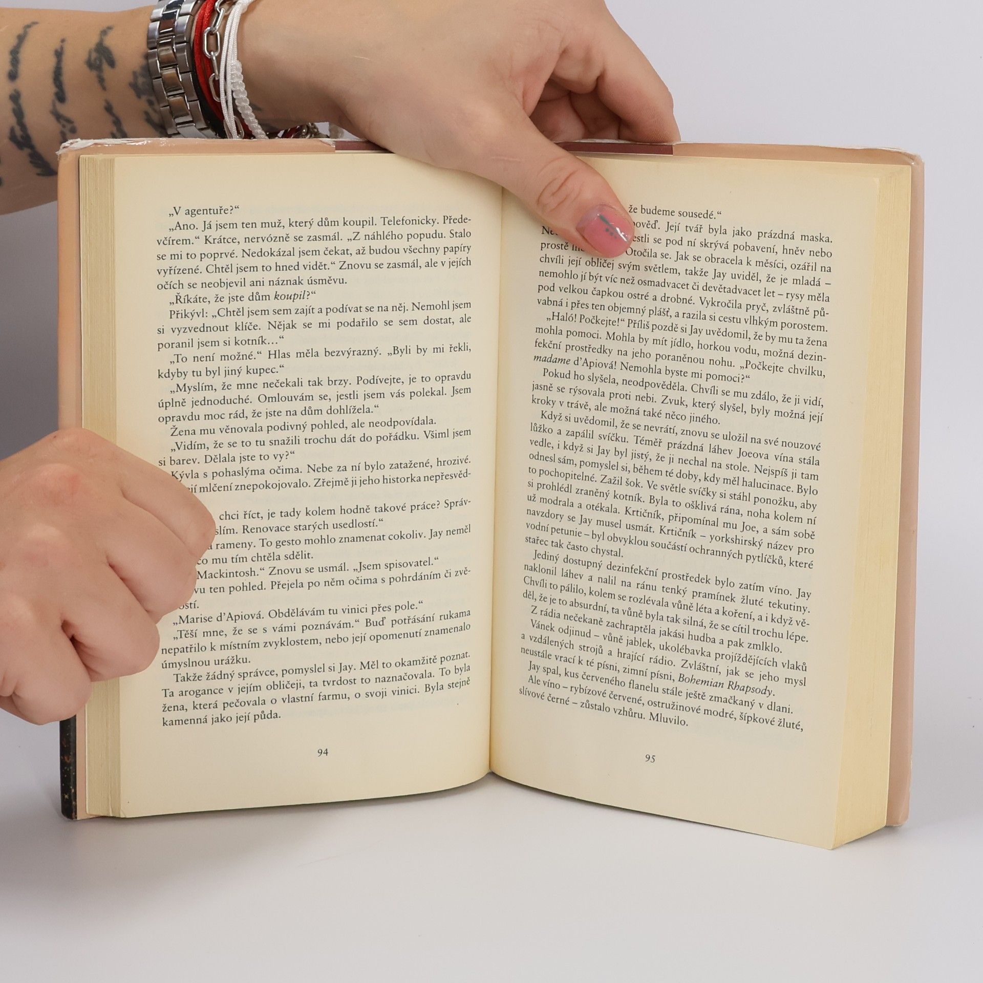 Joanne Harris Ostružinové víno
