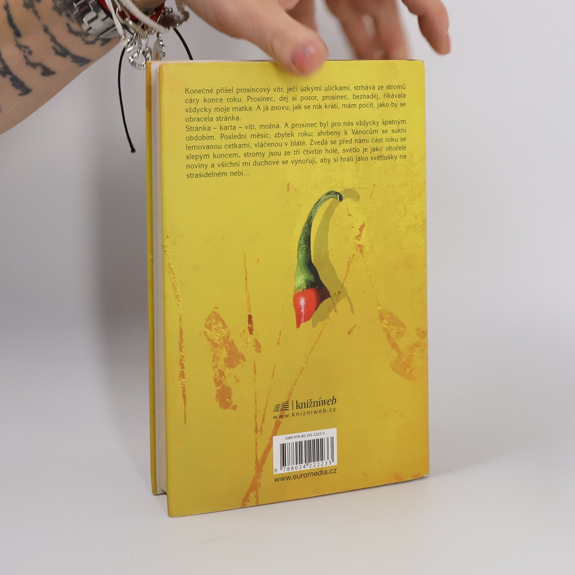 Joanne Harris Krysařovy střevíce