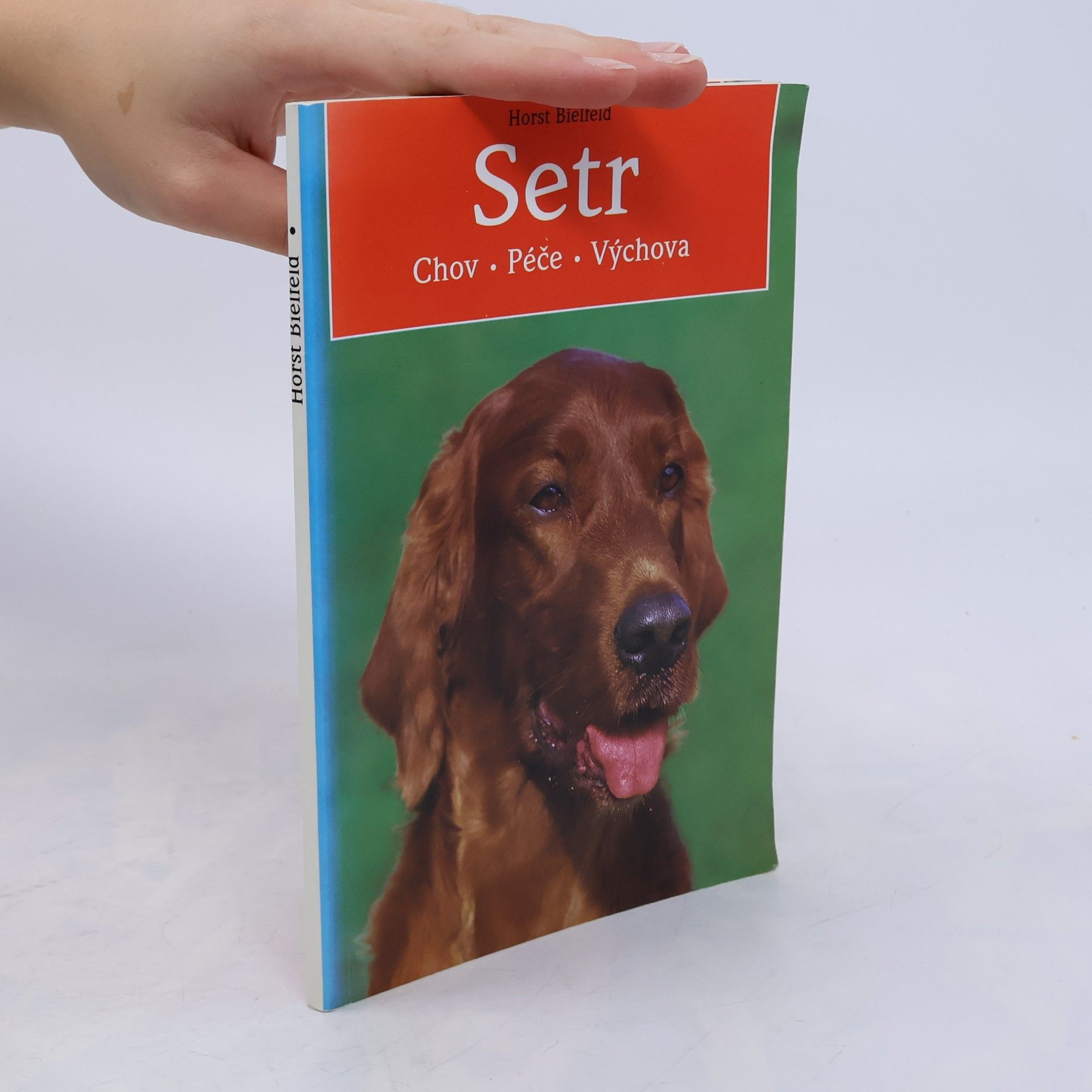 Horst Bielfeld Setr: chov, péče, výchova