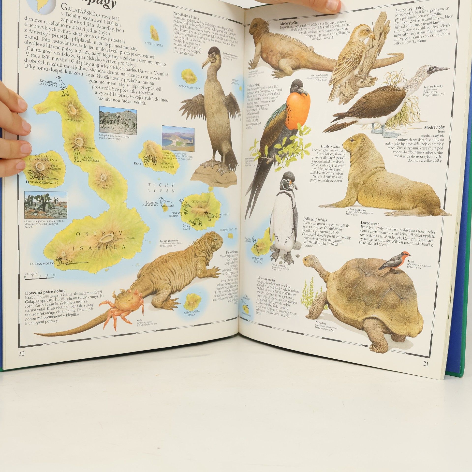 Kenneth Lilly Obrazový atlas živočichů