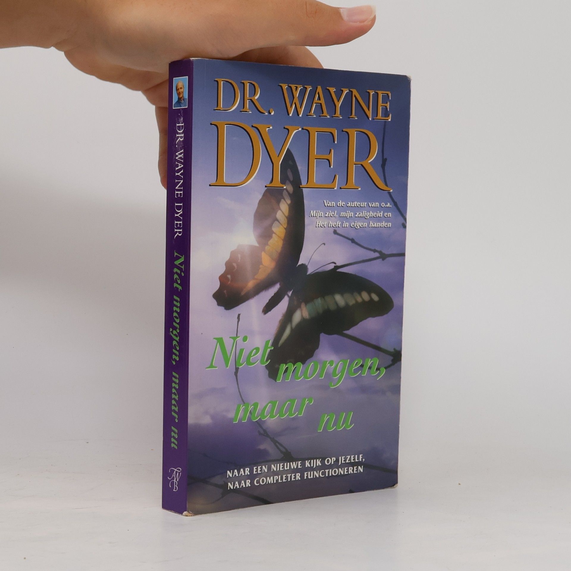 Wayne Walter Dyer Niet morgen, maar nu