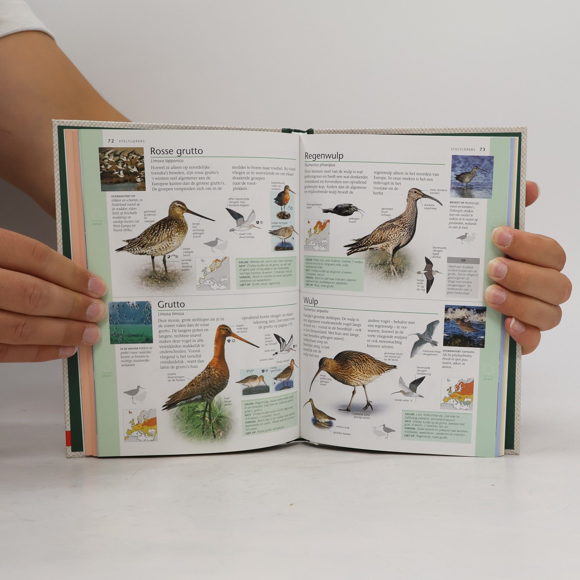 Jonathan Elphick Vogels in Nederland 1