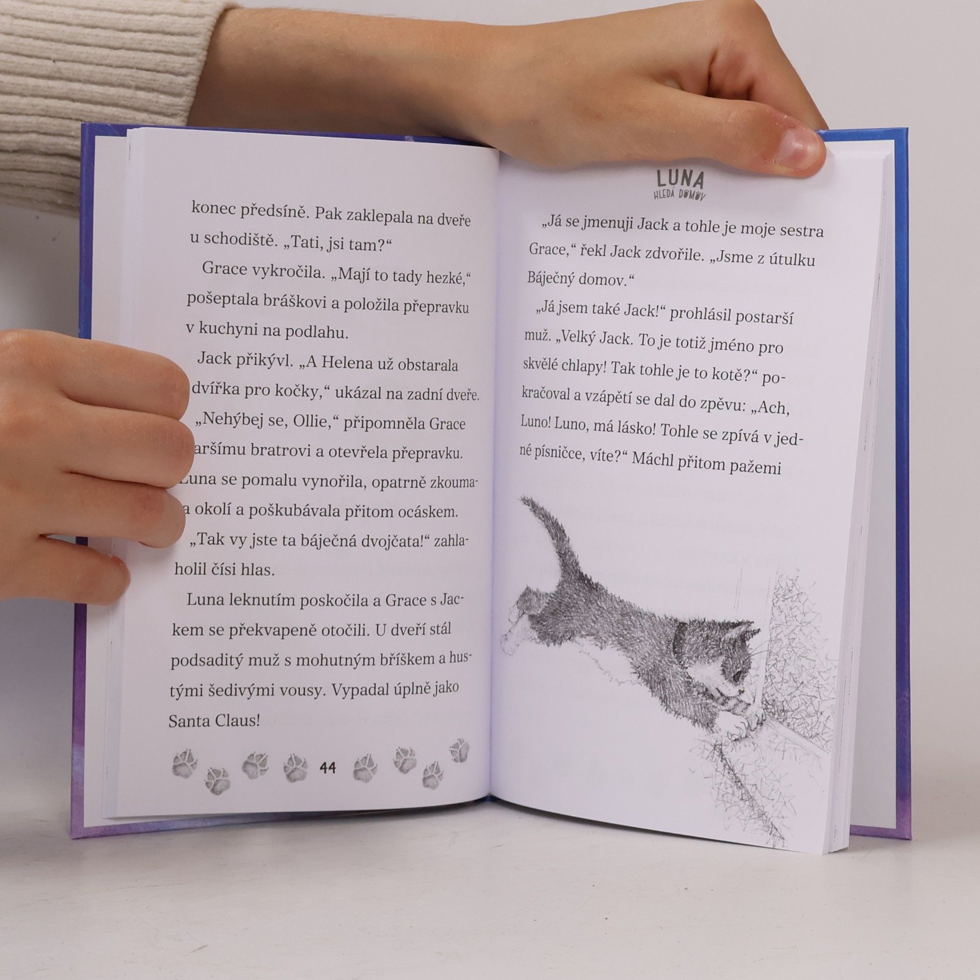 Linda Champan Luna hledá domov