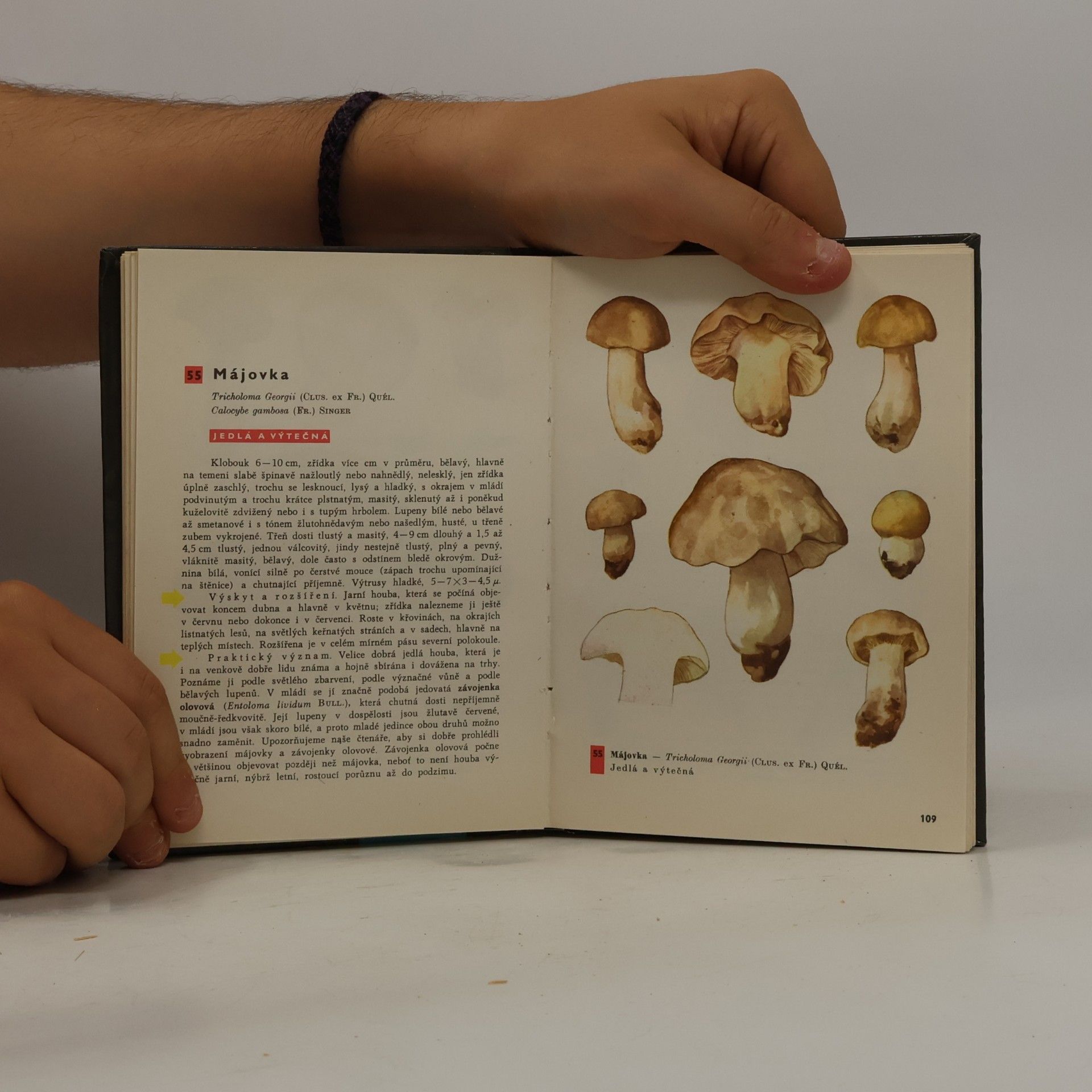 Otto Ušák Kapesní atlas hub