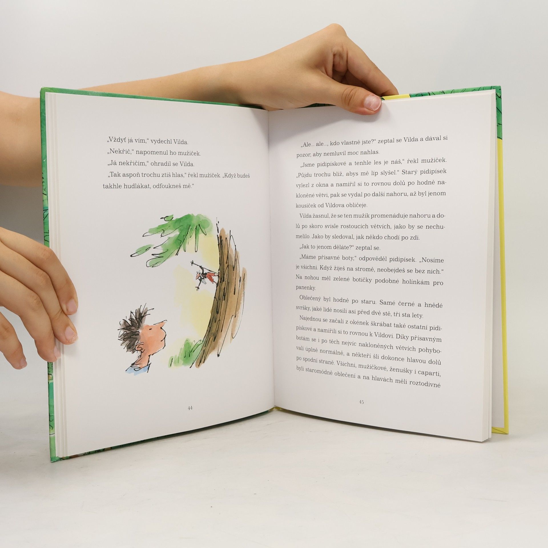 Roald Dahl Vilda a pidipískové