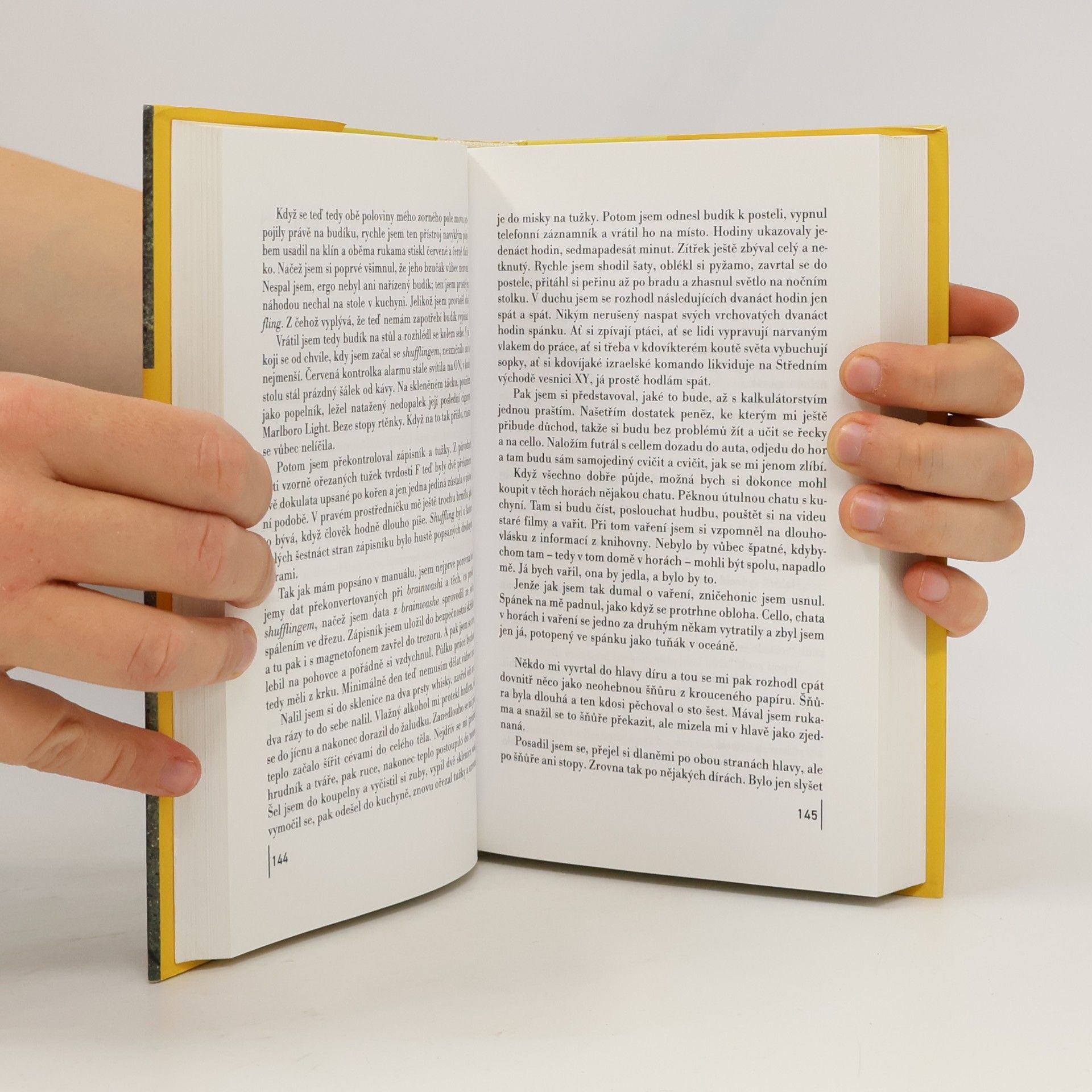 Haruki Murakami Konec světa & Hard-boiled Wonderland