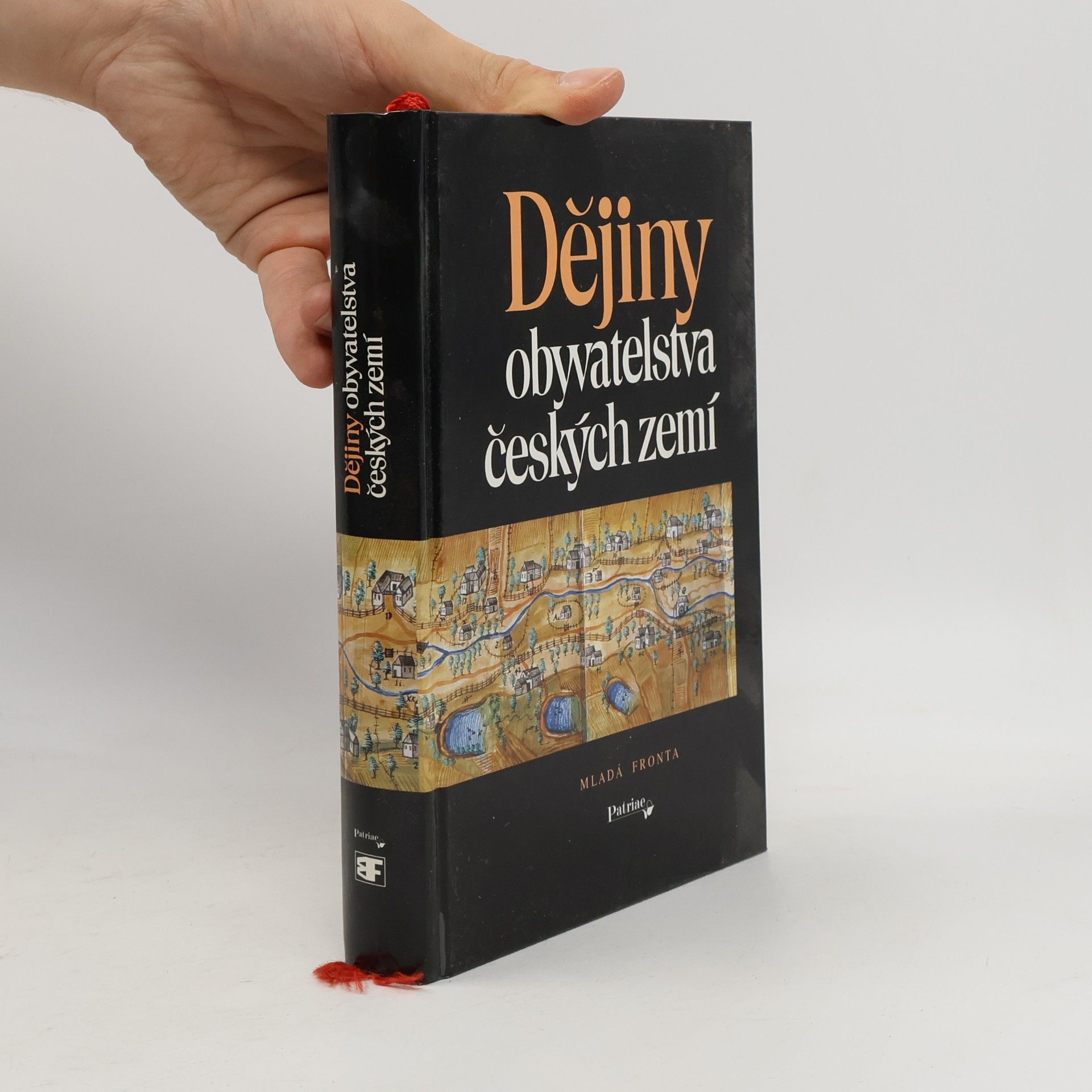 Autorenkollektiv Dějiny obyvatelstva českých zemí