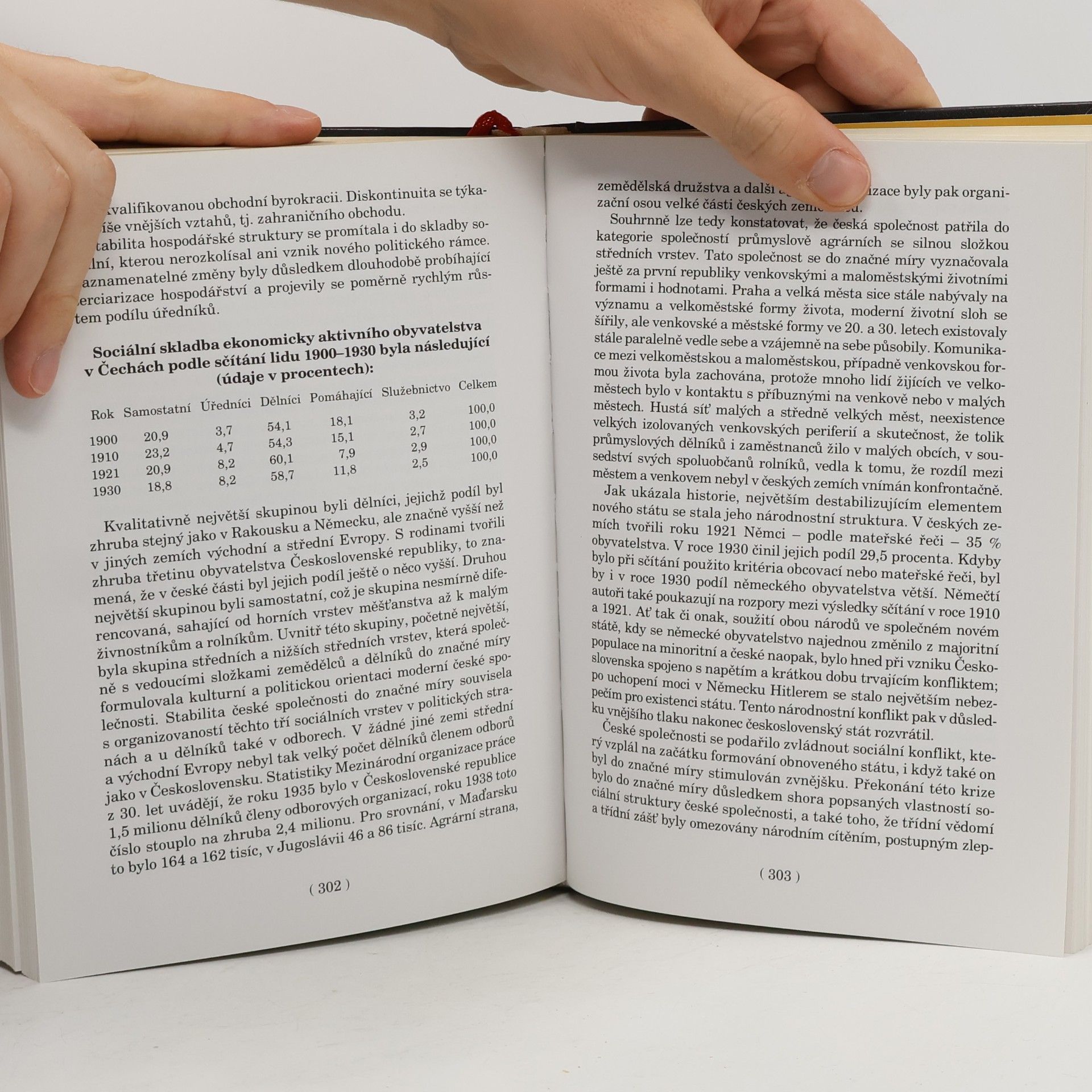 Autorenkollektiv Dějiny obyvatelstva českých zemí