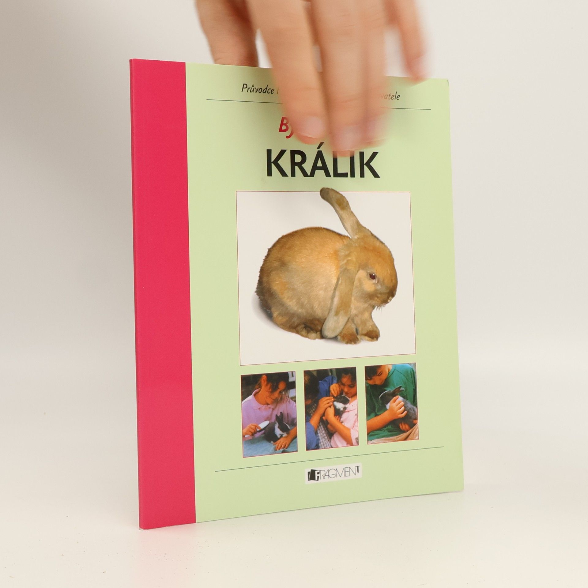 Helen Piers Bydlí s námi králík