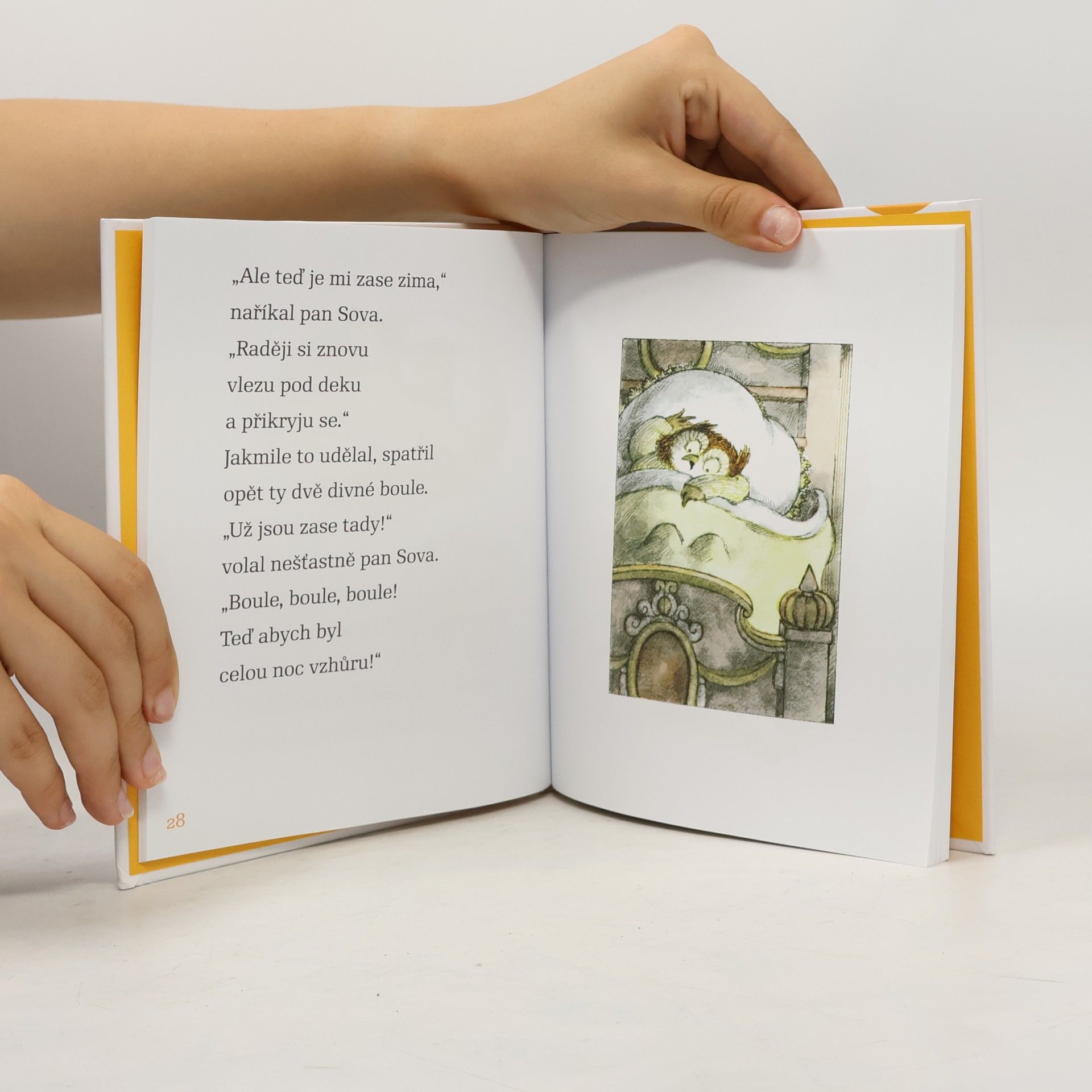 Arnold Lobel Pan Sova