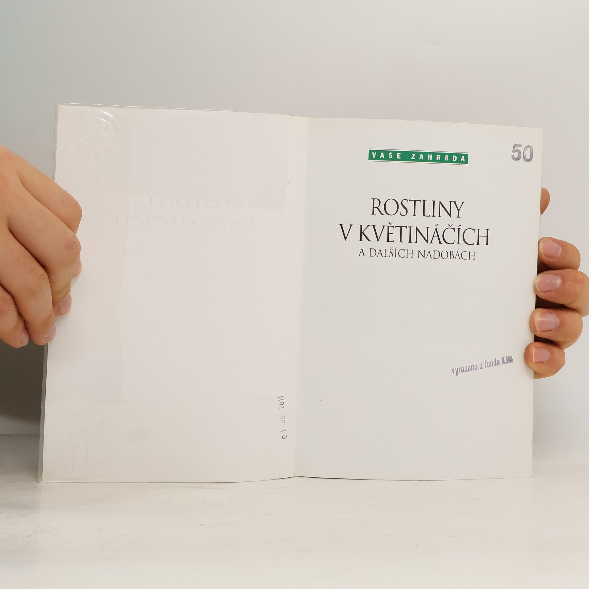 Jorge Echagüe Rostliny v květináčích a dalších nádobách