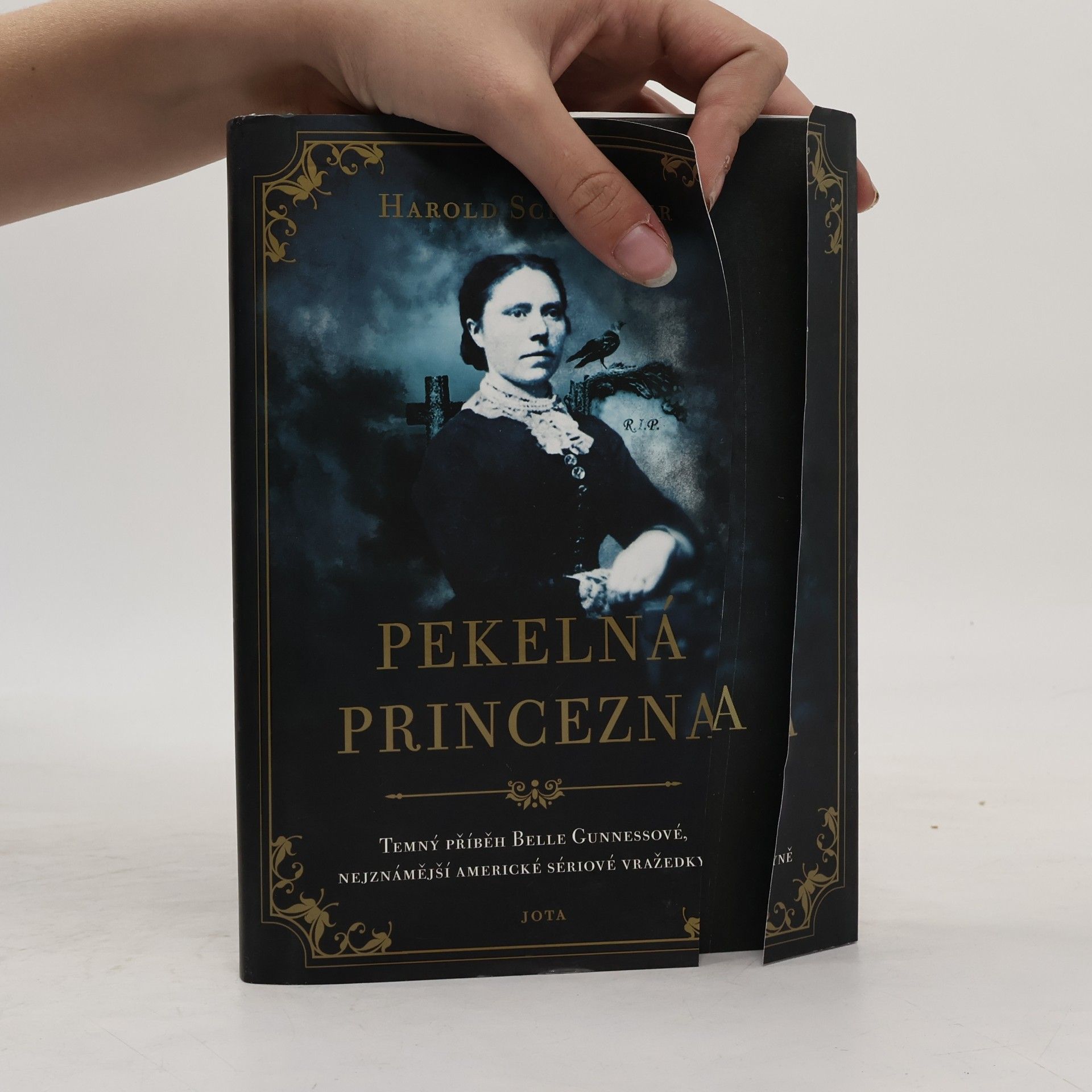 Harold Schechter Pekelná princezna. Temný příběh Belle Gunnessové, nejznámější americké sériové vražedkyně