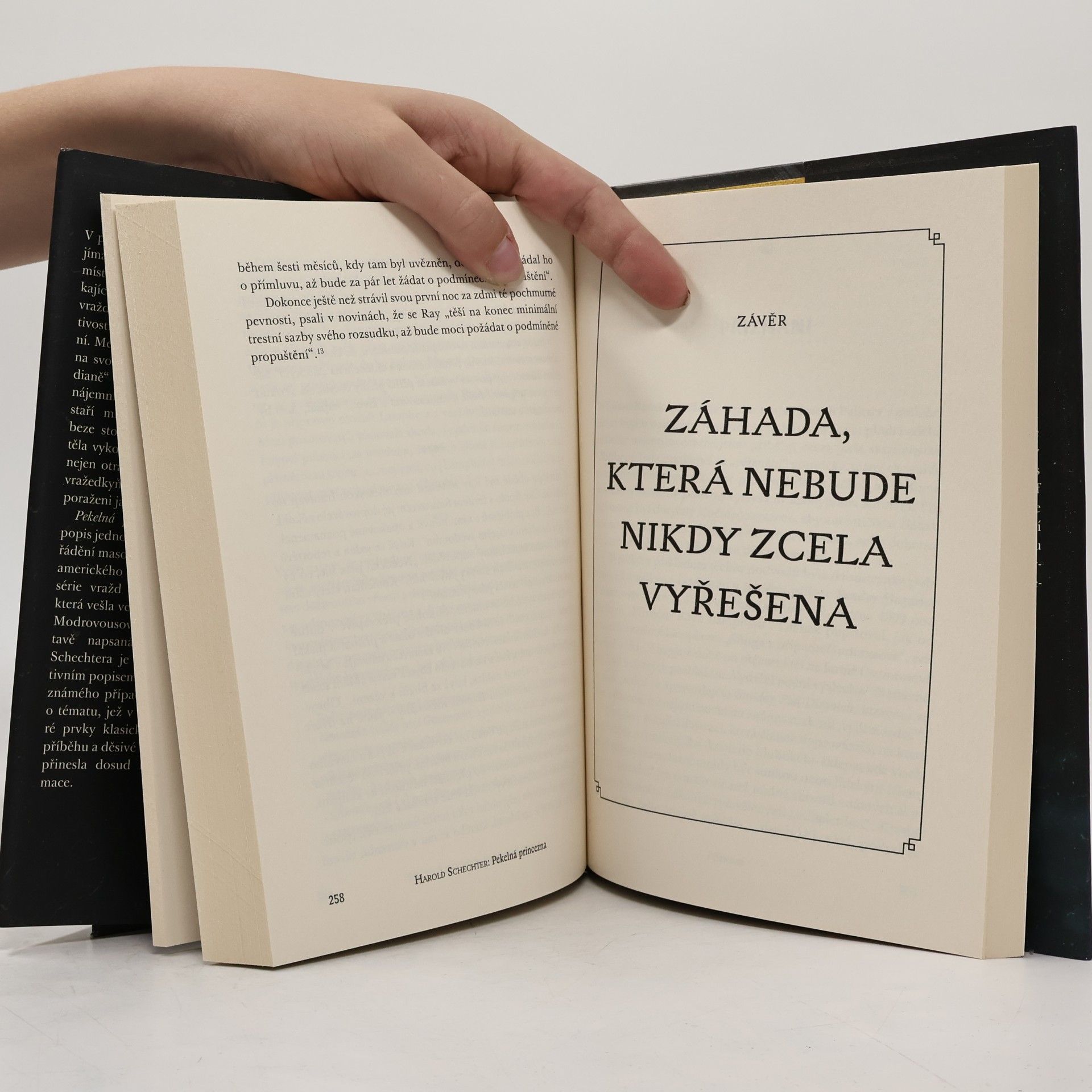 Harold Schechter Pekelná princezna. Temný příběh Belle Gunnessové, nejznámější americké sériové vražedkyně