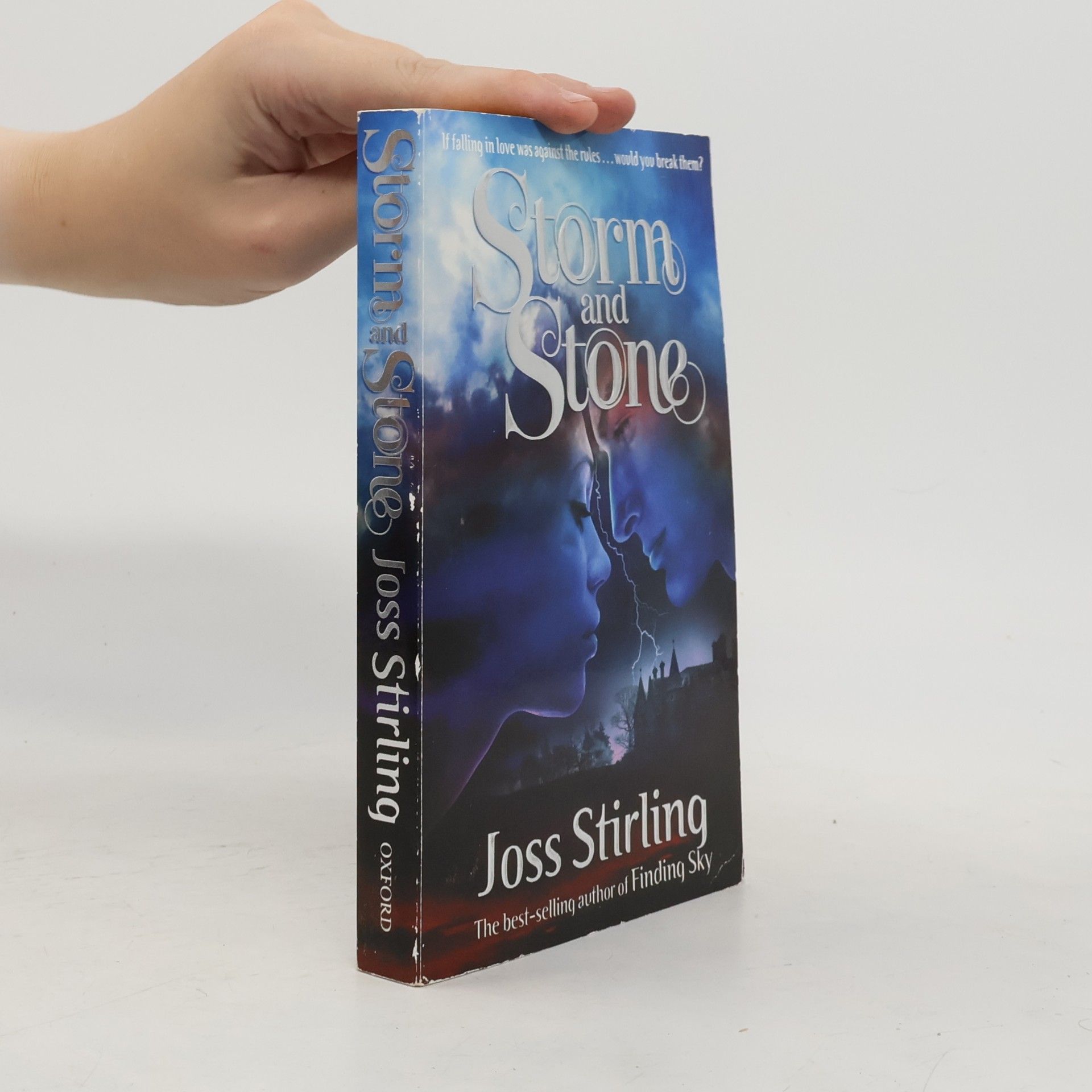 Julia Golding Storm & Stone