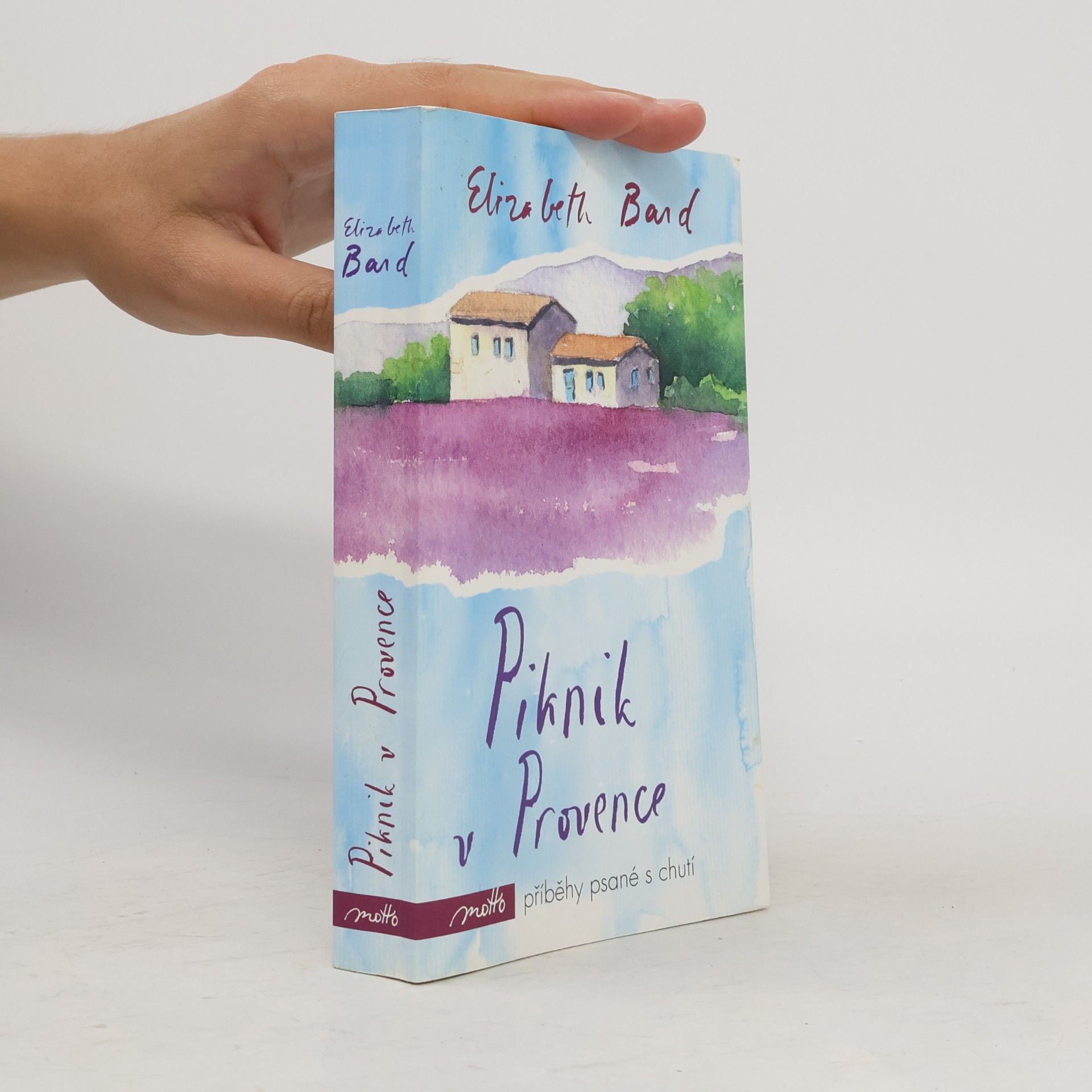 Elizabeth Bard Piknik v Provence
