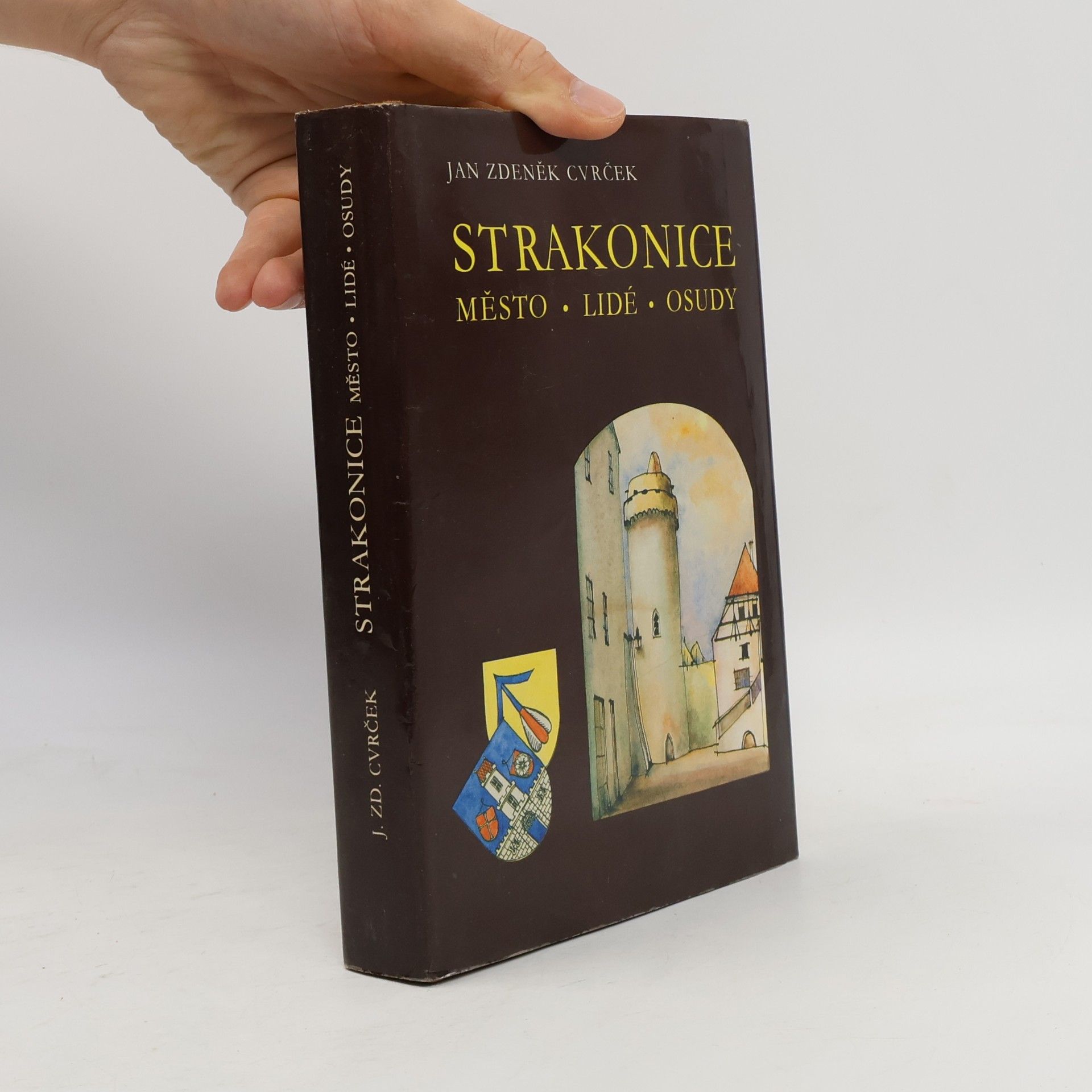 Strakonice. Lidé, město, osudy