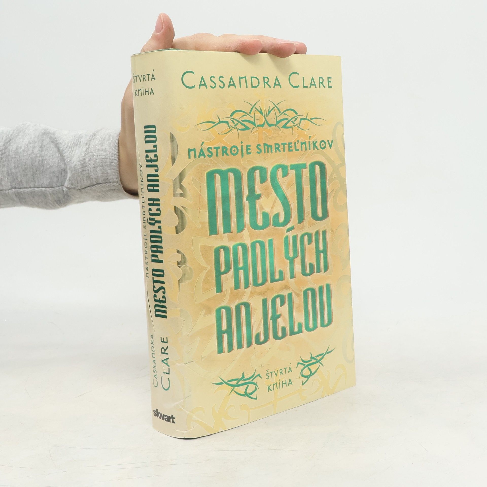 Cassandra Clare Mesto padlých anjelov