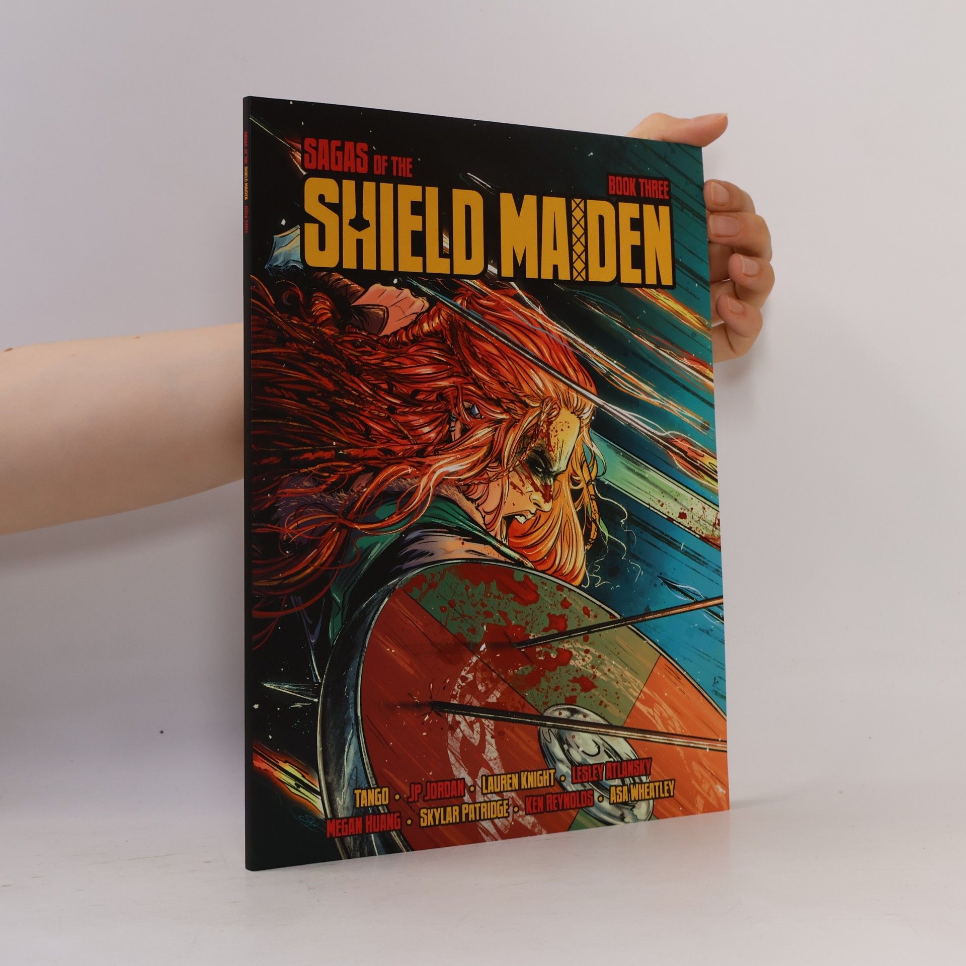Autorenkollektiv Sagas of The Shield Maiden 3